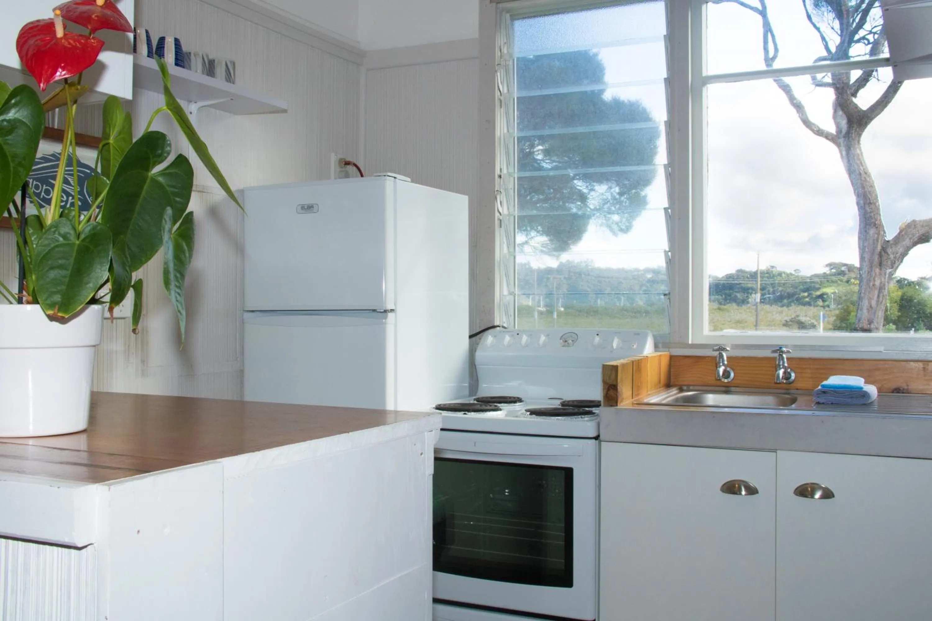 Kitchen or kitchenette in Russell-Orongo Bay Holiday Park