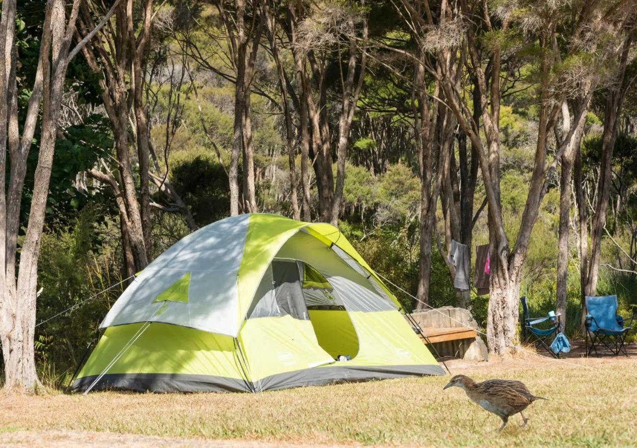 Garden in Russell-Orongo Bay Holiday Park