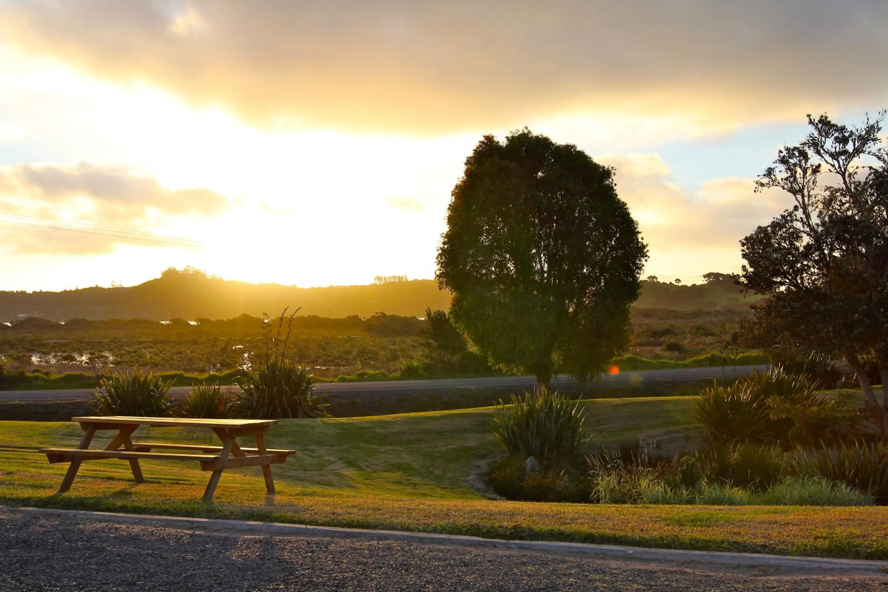 Garden in Russell-Orongo Bay Holiday Park