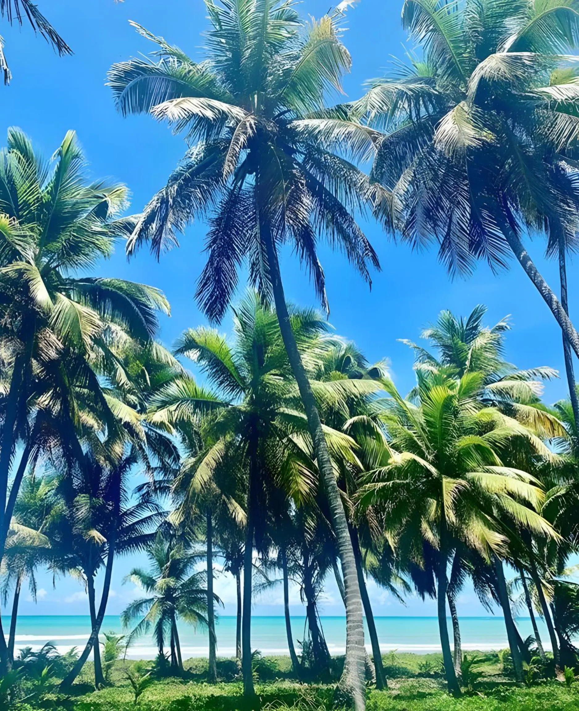 Nearby landmark in Pousada Divino Milagre