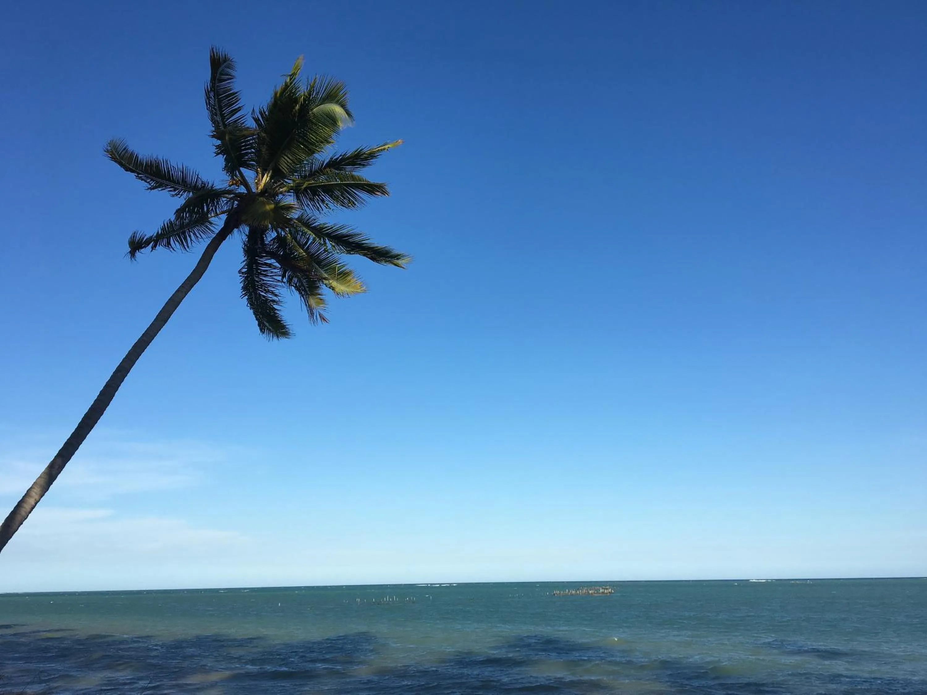 Natural landscape in Pousada Divino Milagre