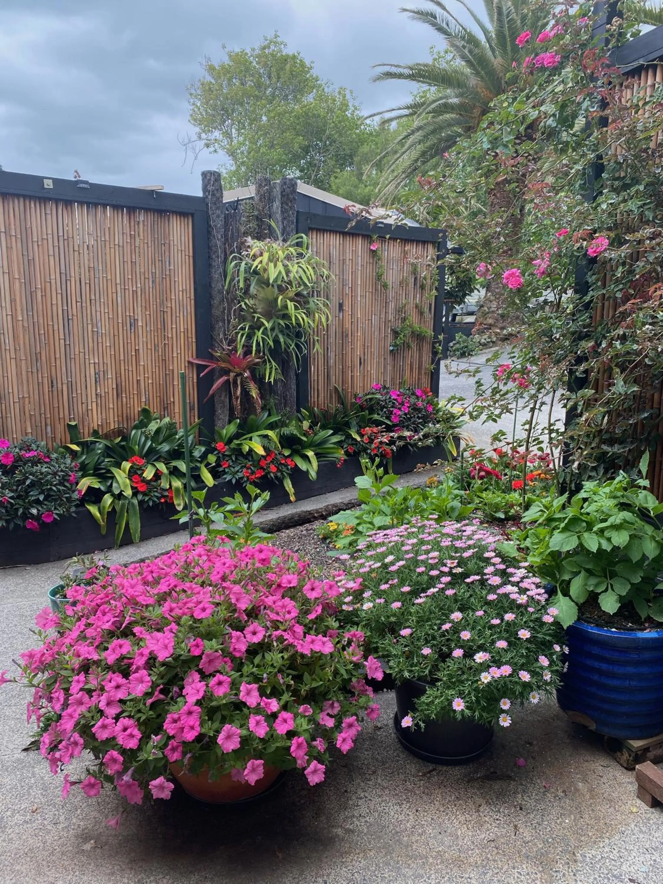 Garden in Opononi Lighthouse Motel