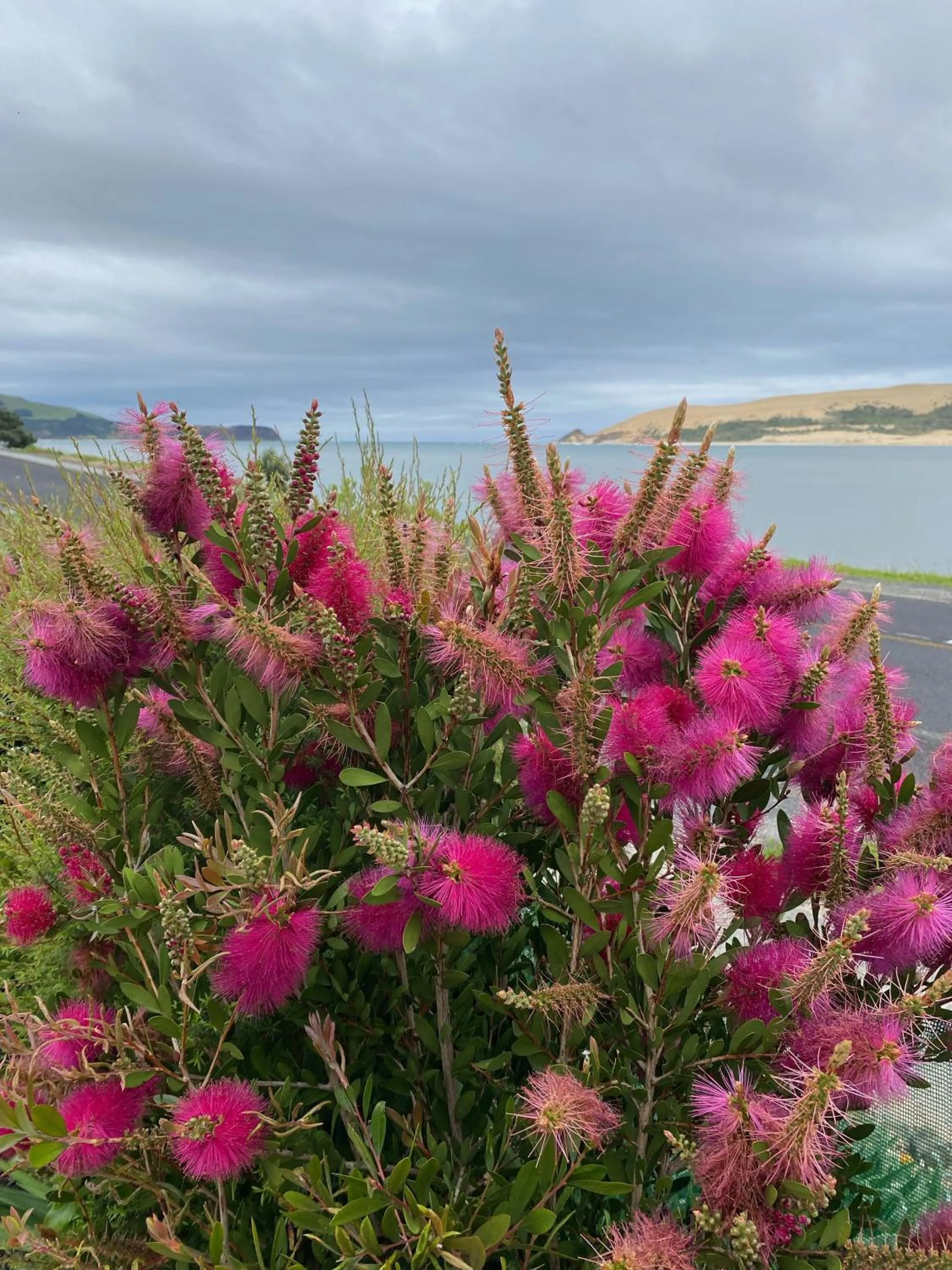 Sea view in Opononi Lighthouse Motel