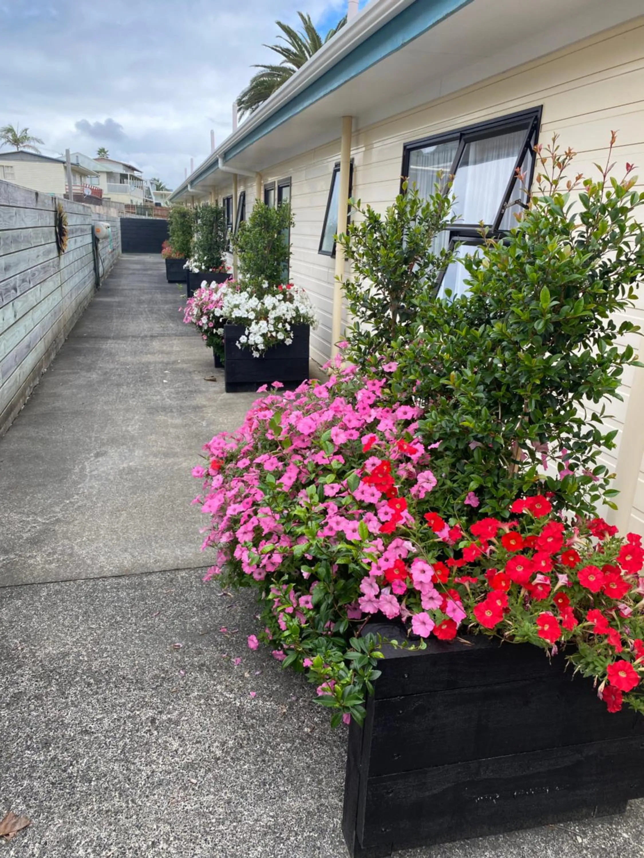 Garden in Opononi Lighthouse Motel