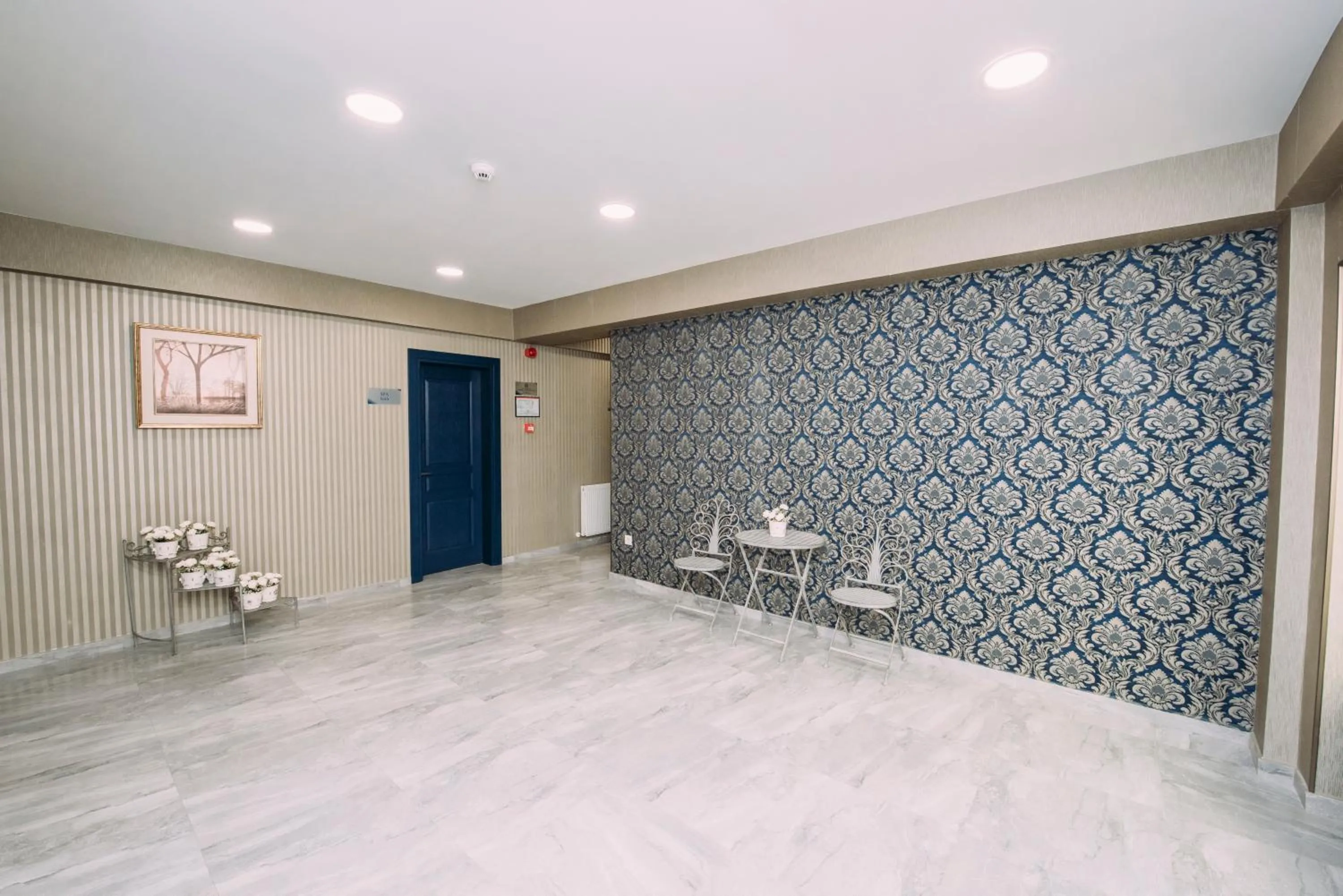 Area and facilities in Hotel Sapphire Bakuriani