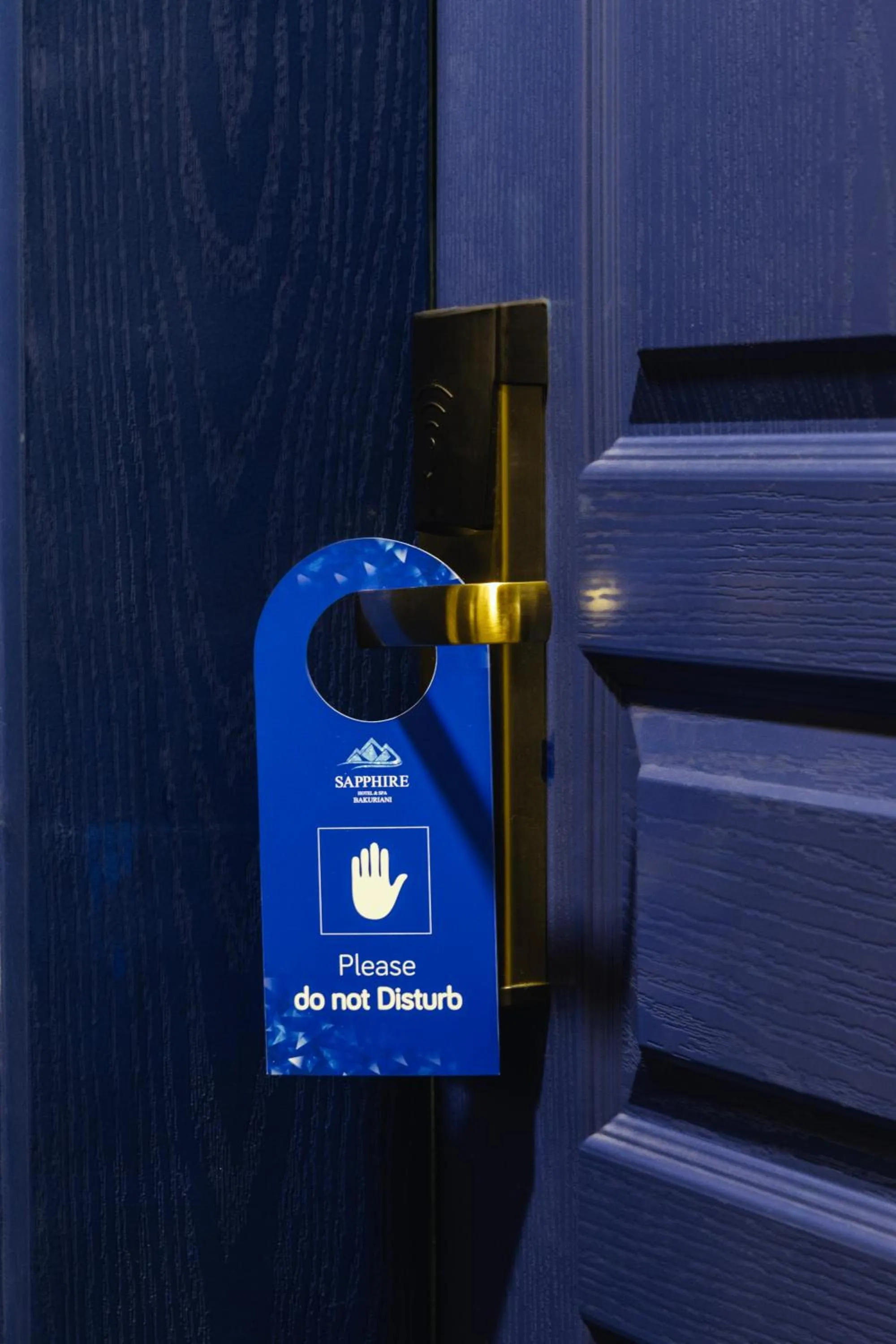 Property logo or sign in Hotel Sapphire Bakuriani