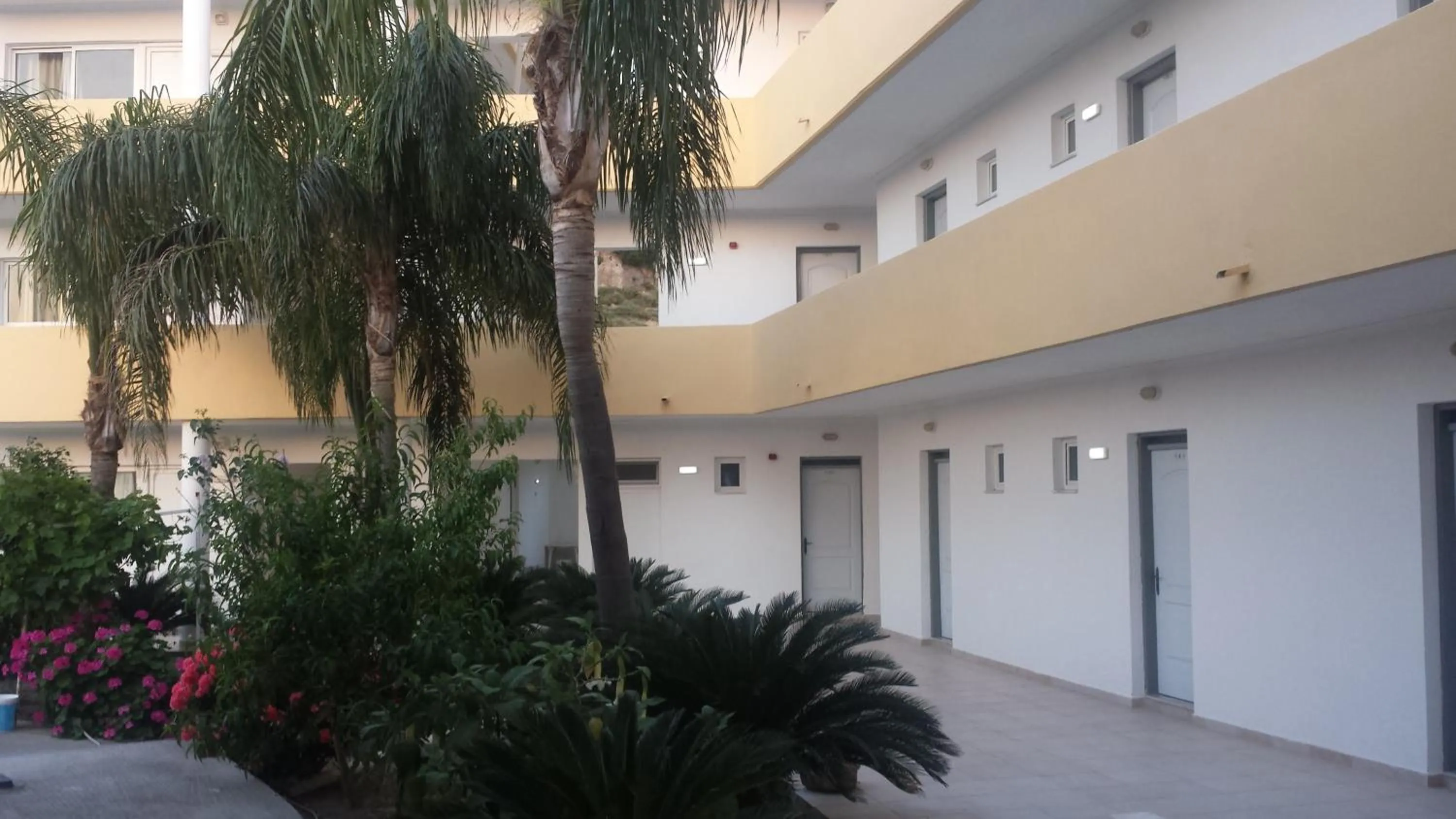 Garden in Summer Days