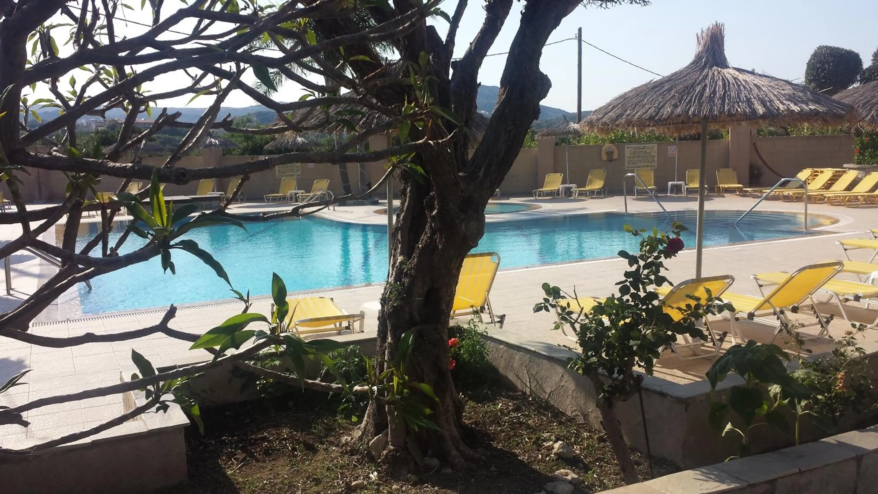 Swimming pool in Summer Days