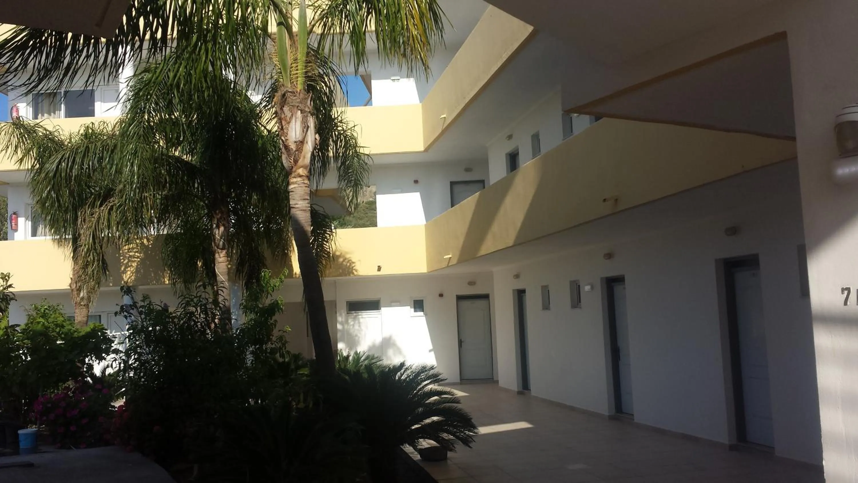 Garden in Summer Days