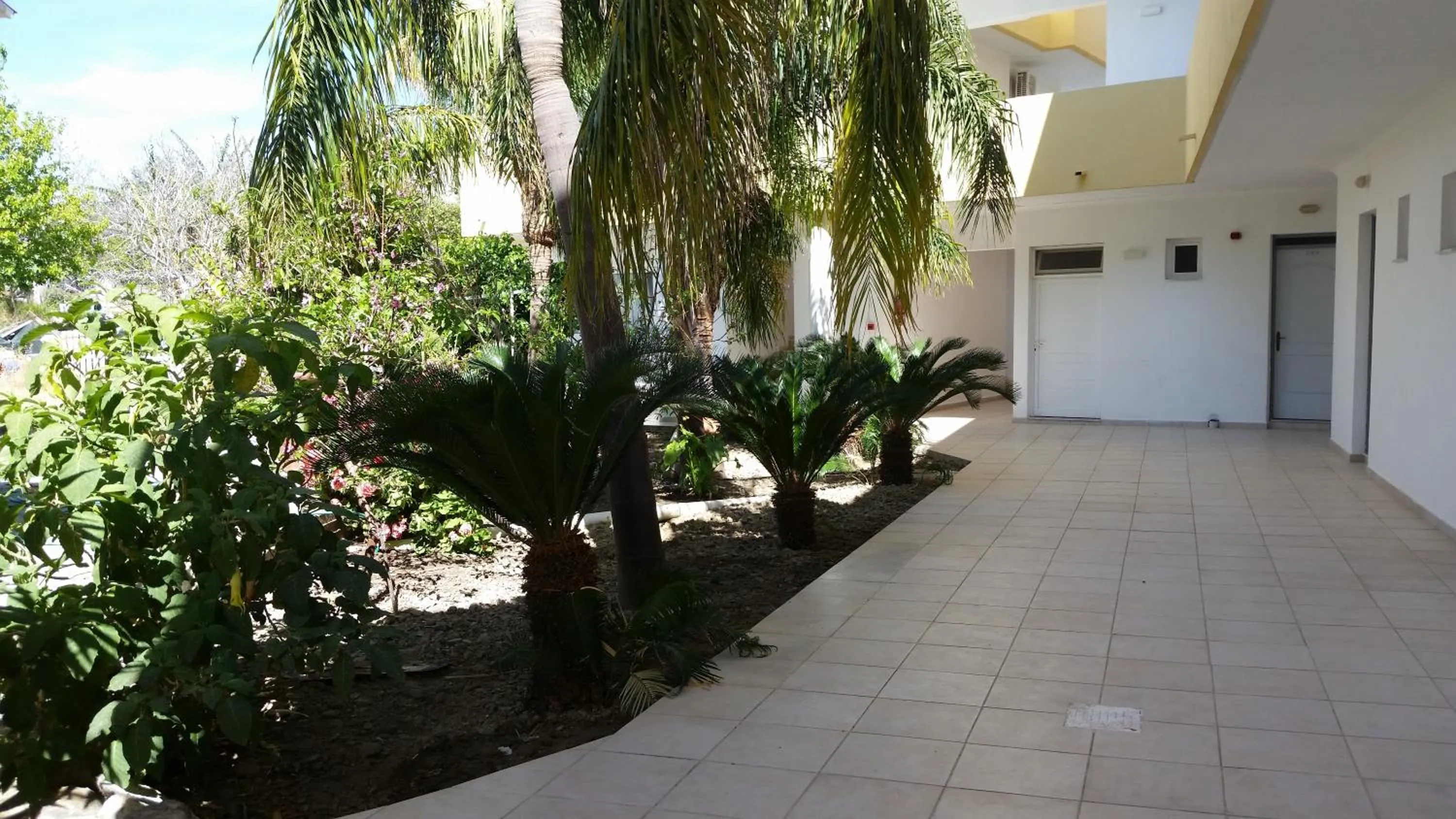 Garden in Summer Days