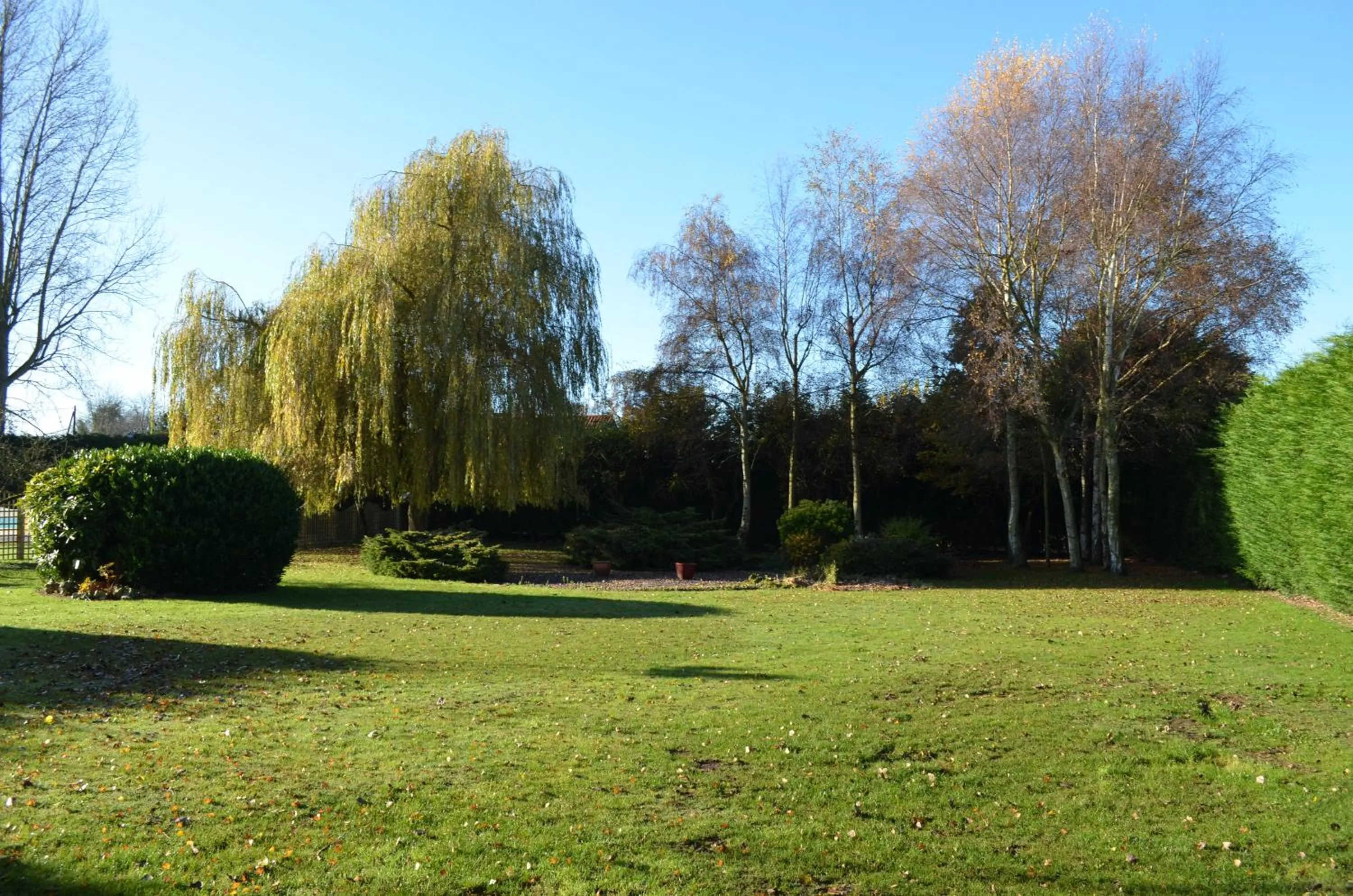Garden in The Feathers