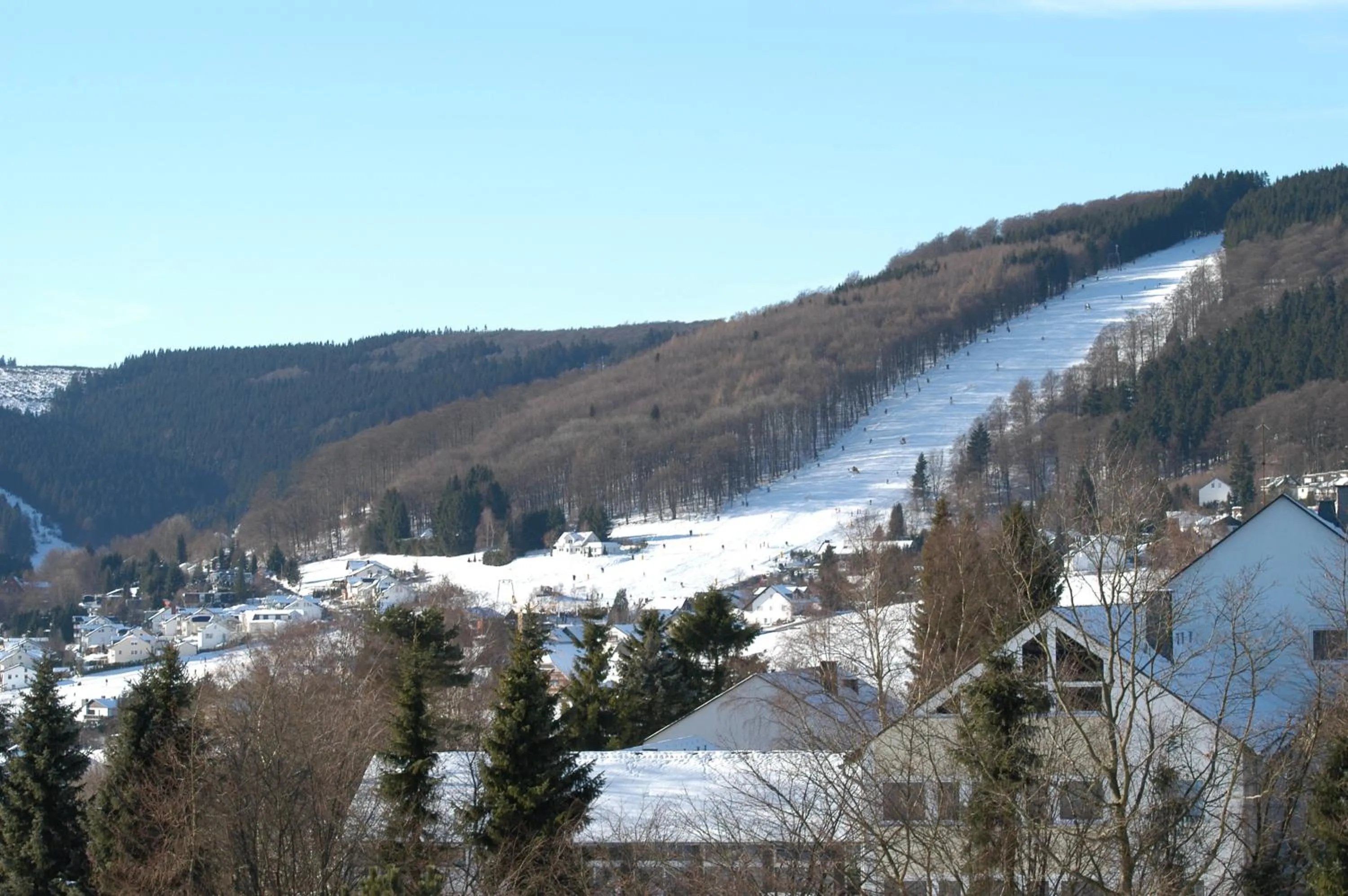 Natural landscape in Hotel Hochsauerland 2010