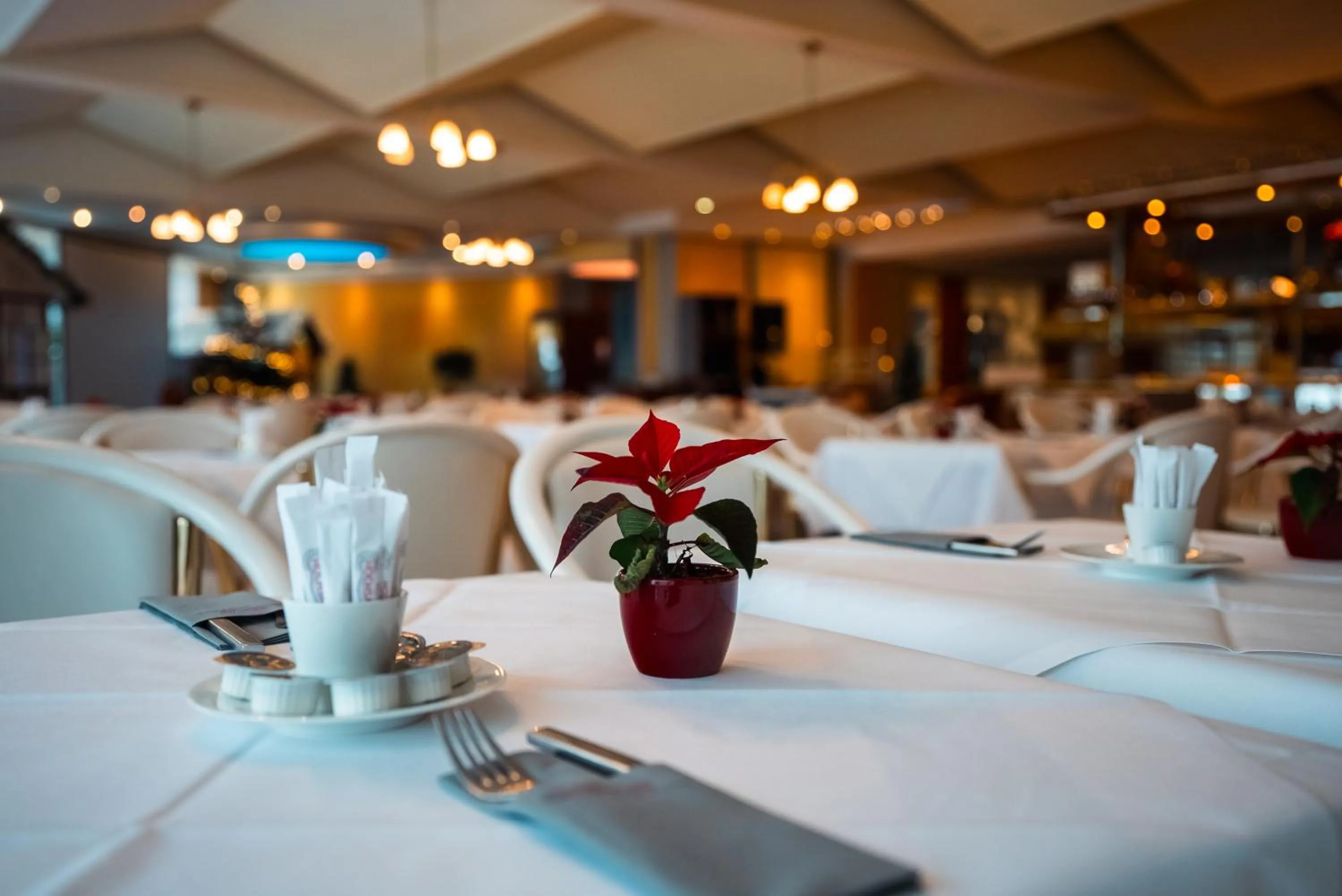 Hotel Hochsauerland 2010