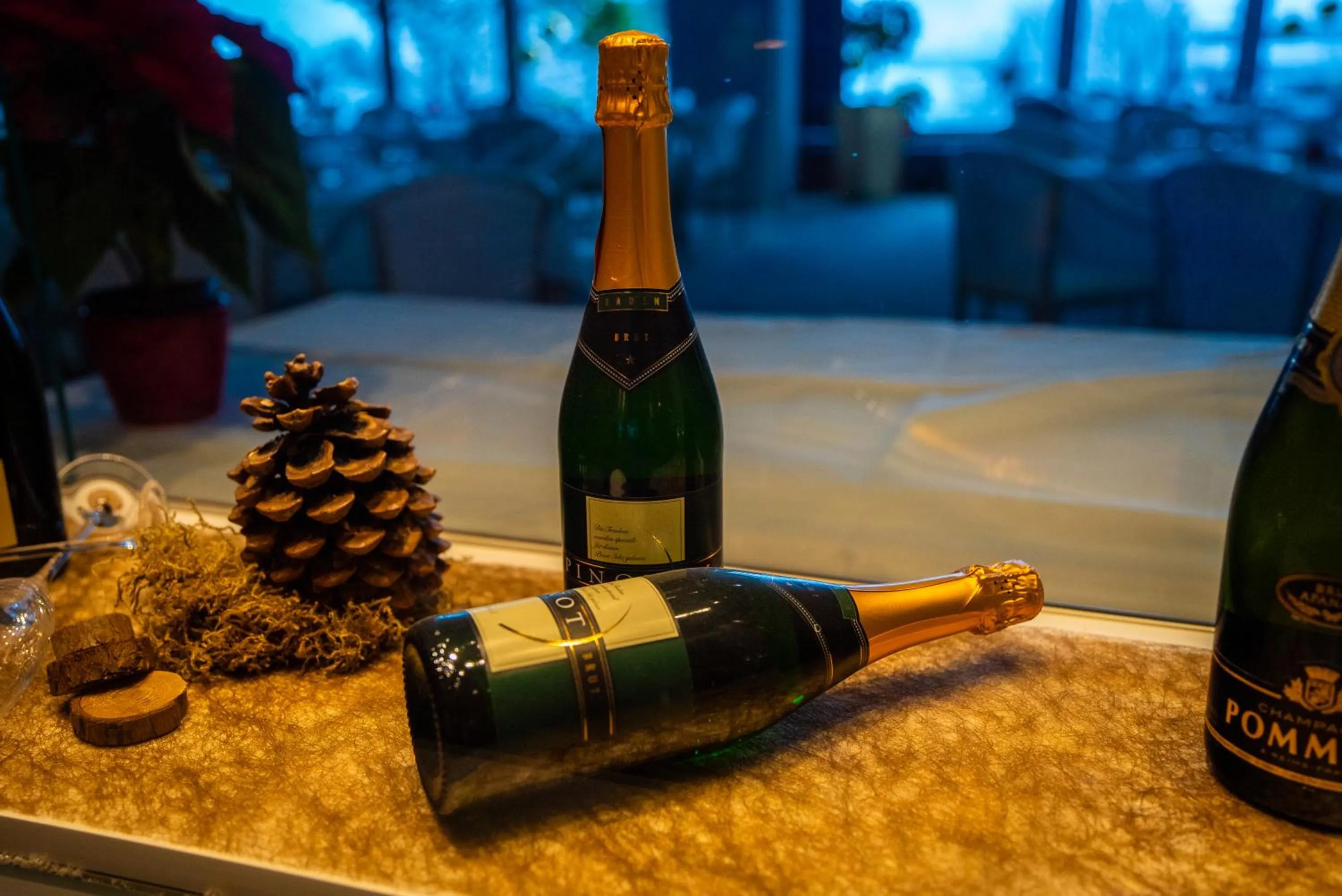 Hotel Hochsauerland 2010