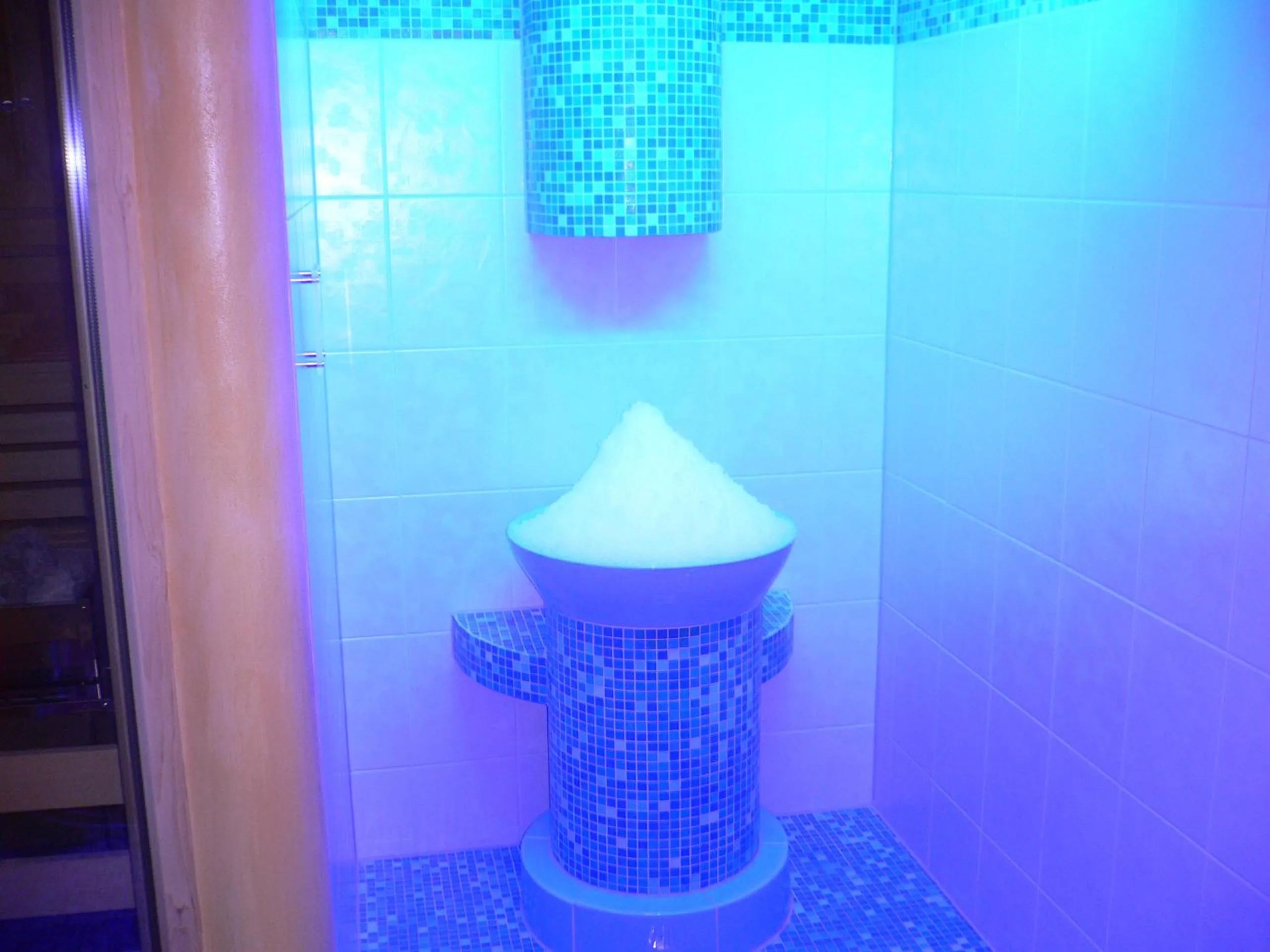 Spa and wellness centre/facilities in Hotel Hochsauerland 2010