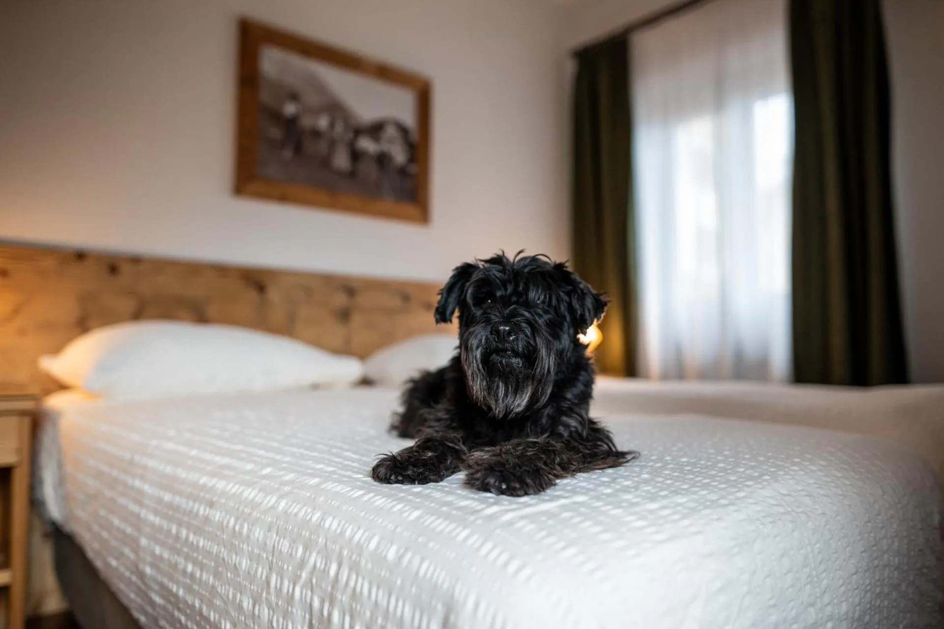 Bed in Hotel Panda Cortina- ricarica auto elettriche