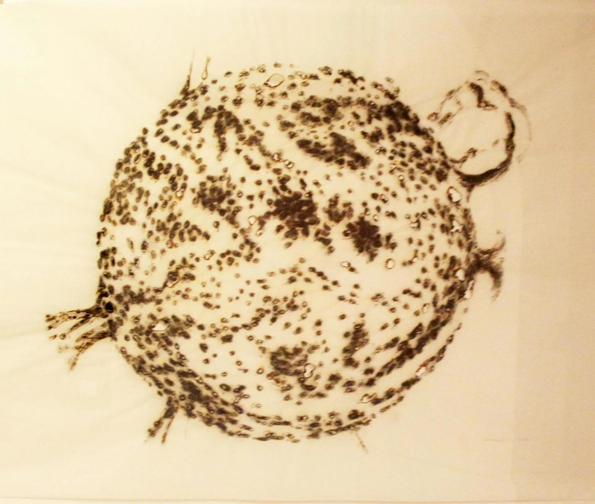 Other in Culture Hotel Centro Storico