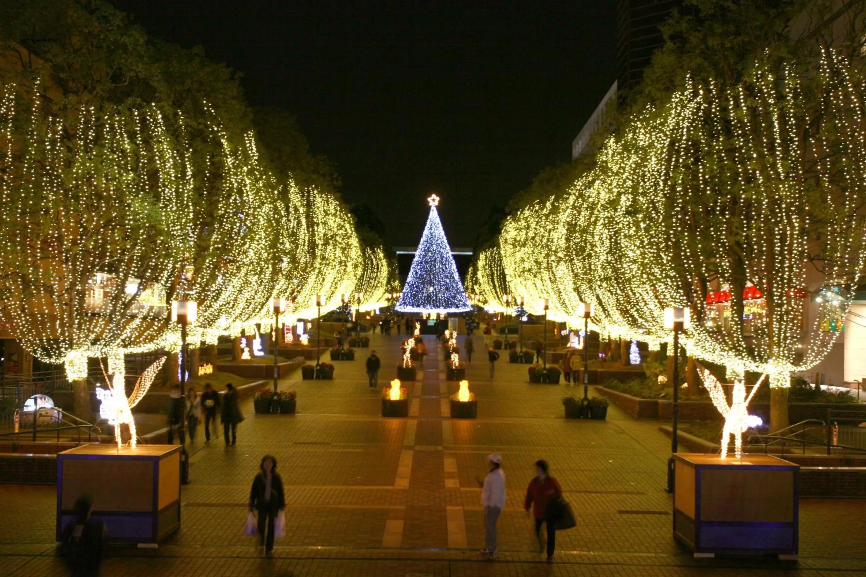 Neighbourhood, Banquet Facilities in Keio Plaza Hotel Tama