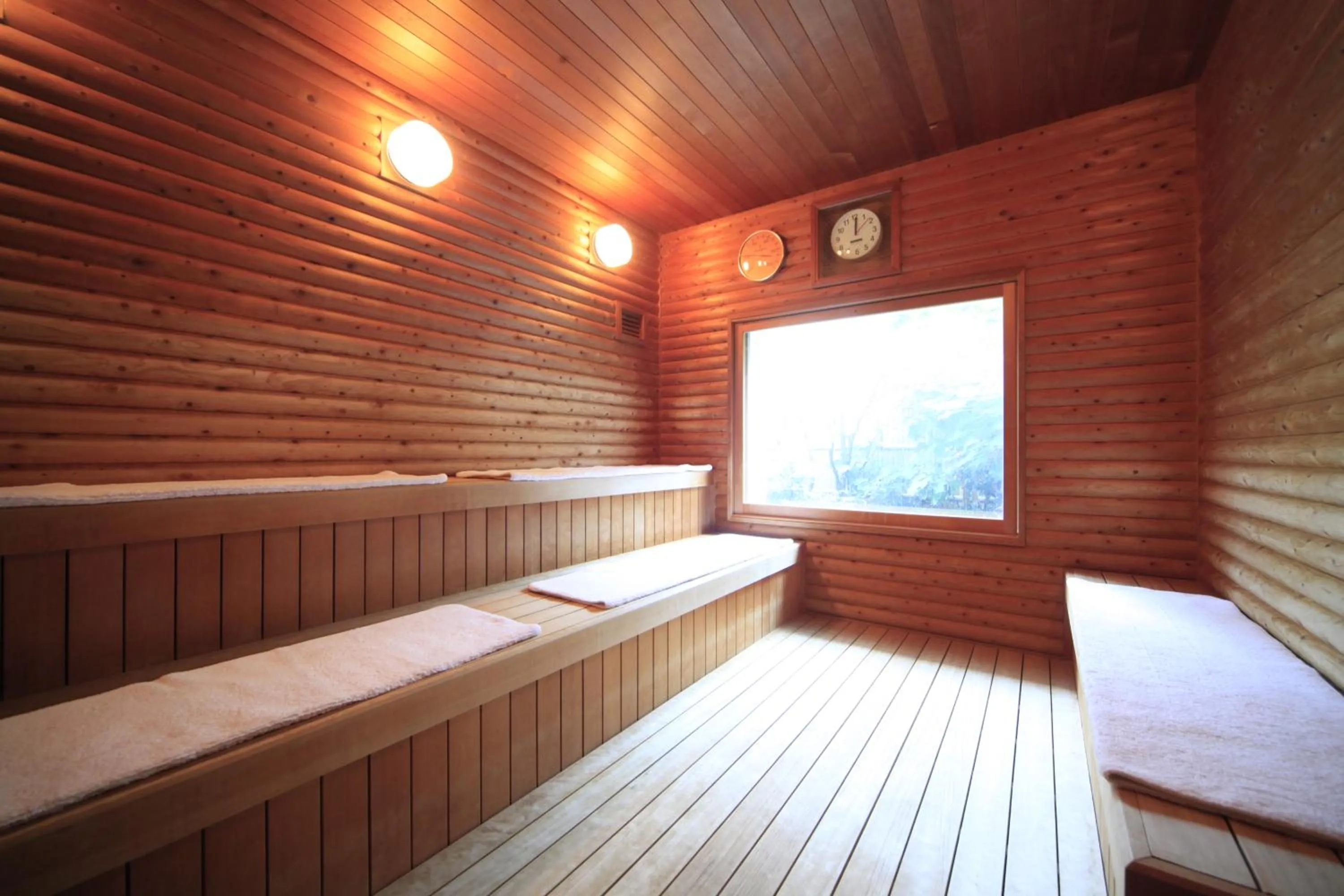 Sauna, Bed in Shoho
