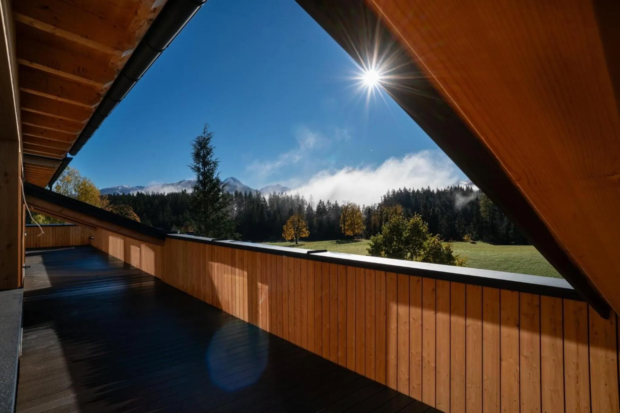 Balcony/Terrace in Waldrand Apartments