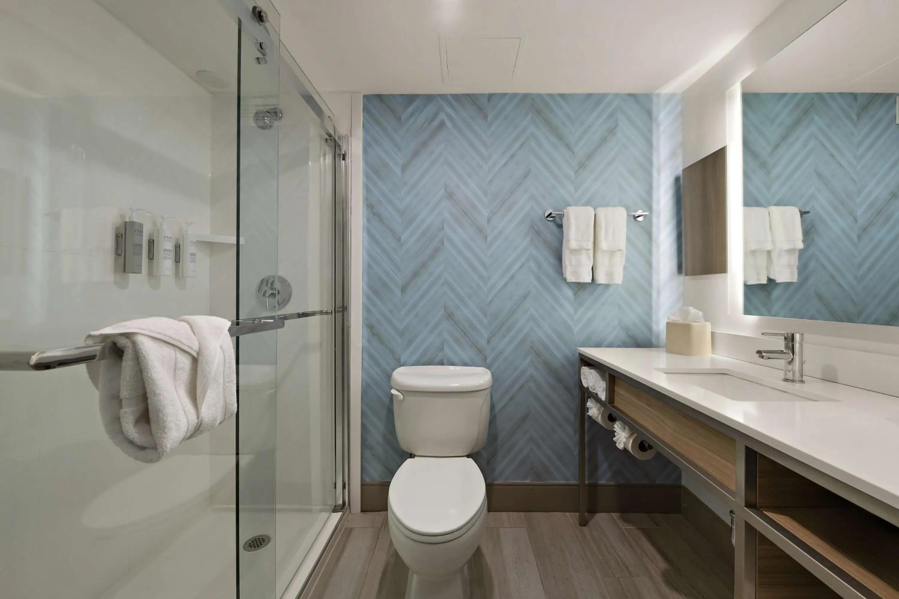 Bathroom in Hilton Garden Inn Williamsburg