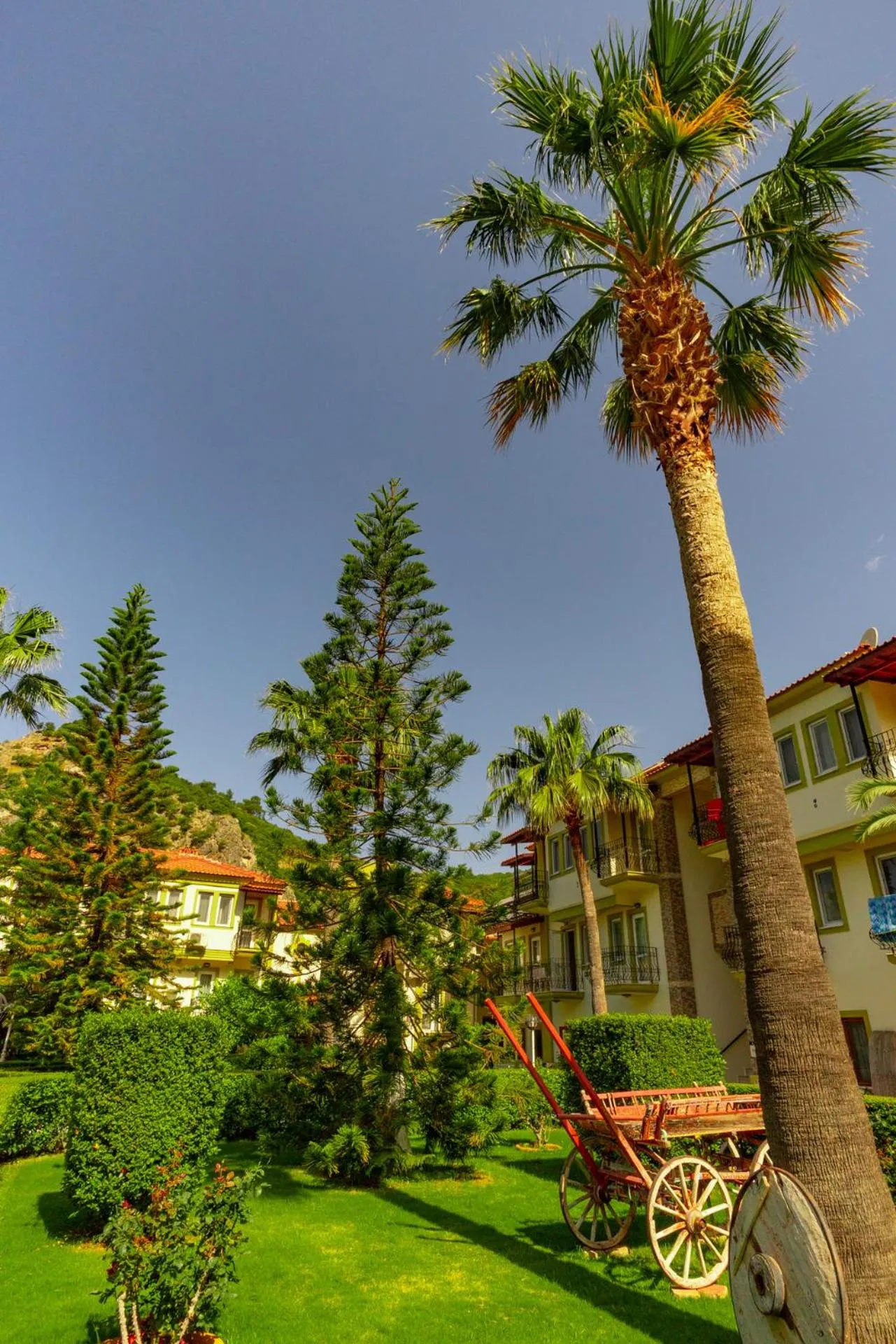 Garden in Hotel Karbel Sun