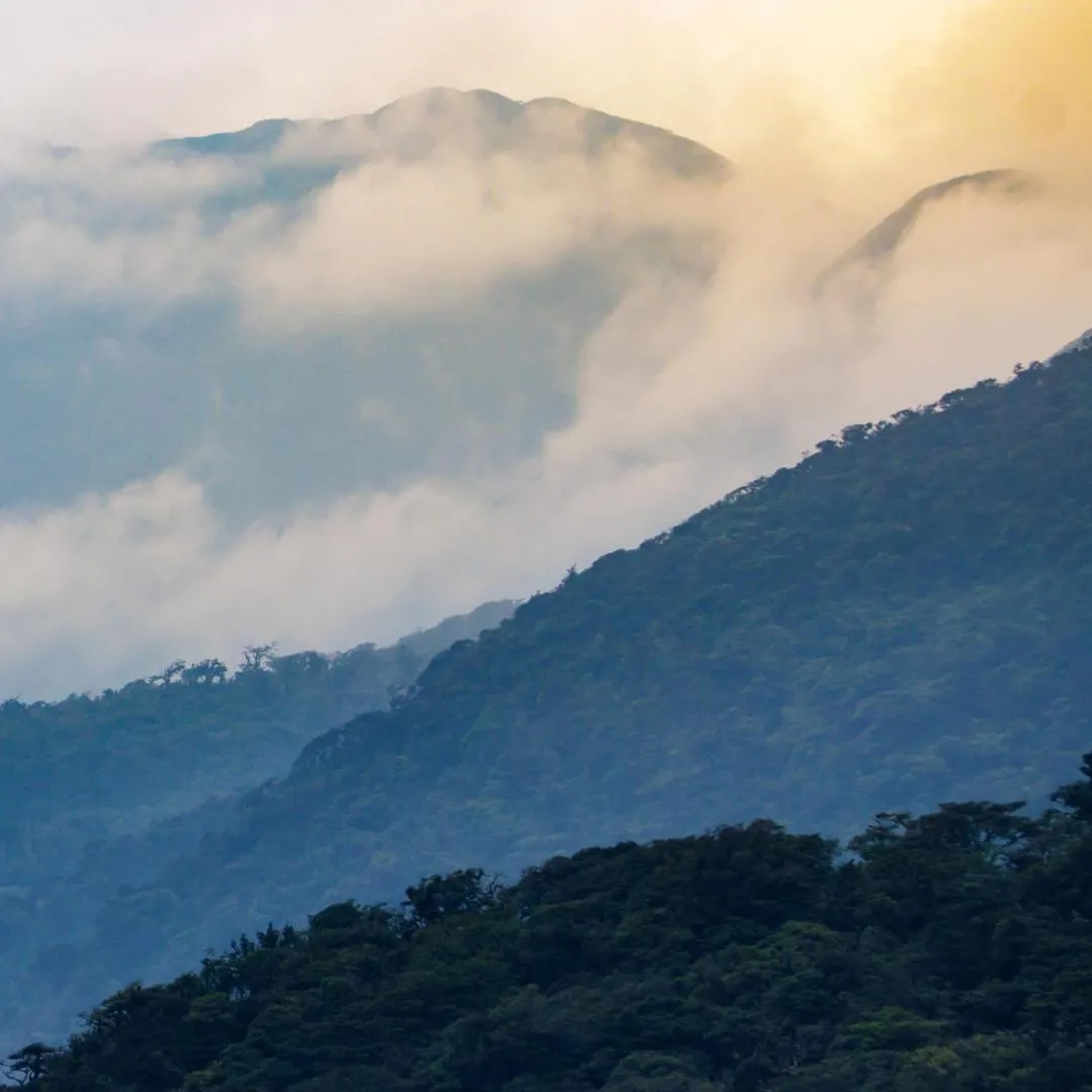 Natural landscape in Aves de Tierras Altas