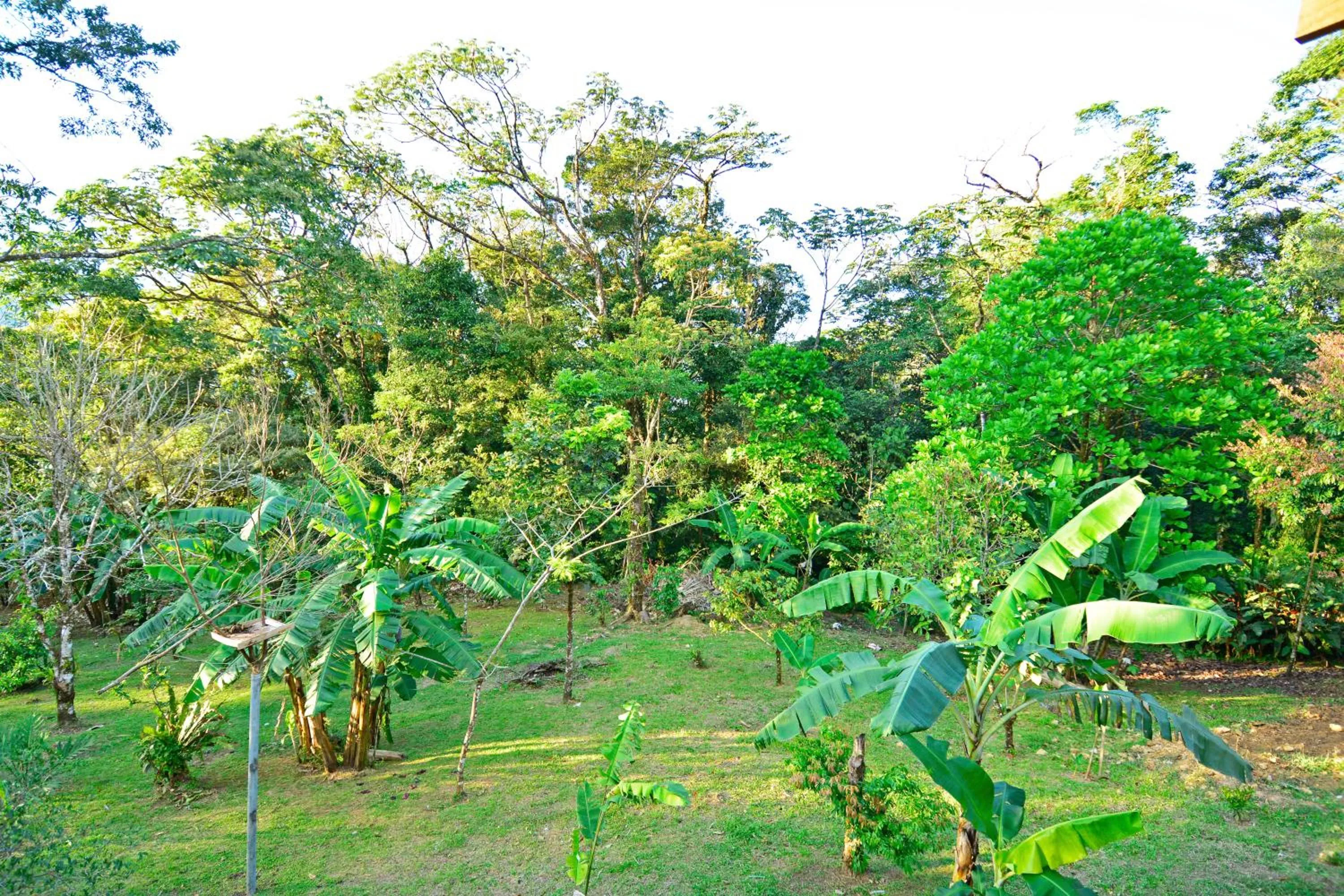 Off site in Aves de Tierras Altas