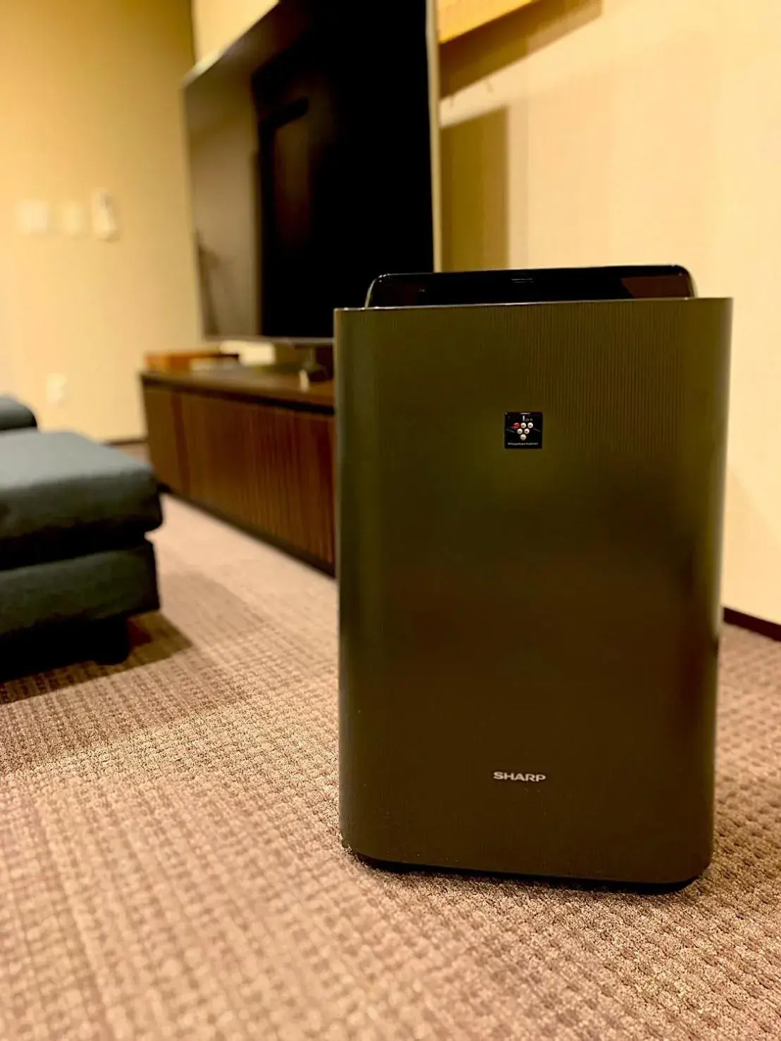 Area and facilities in Randor Residence Susukino Suites Area and facilities in Randor Residence Susukino Suites