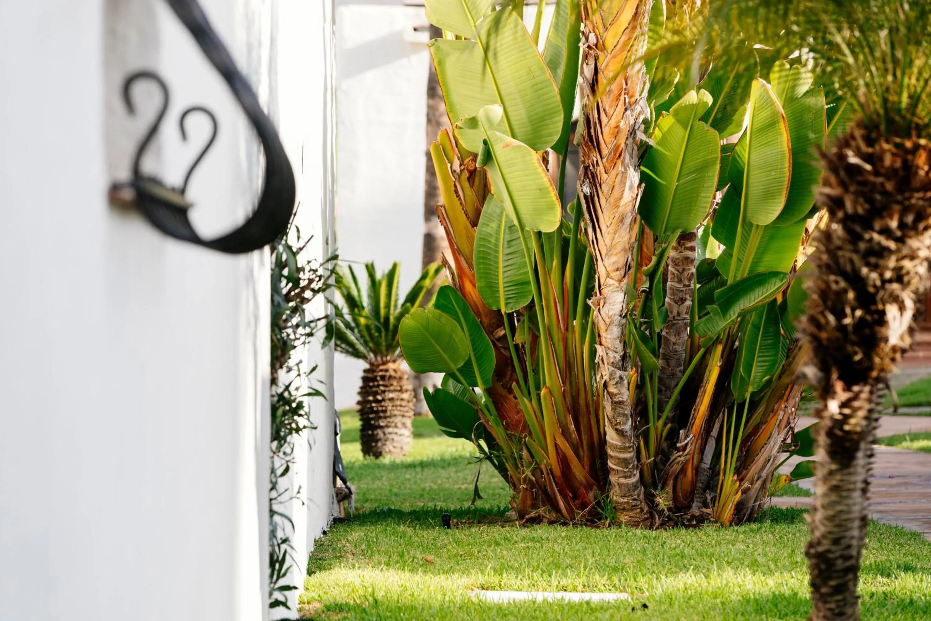 HD Parque Cristobal Tenerife