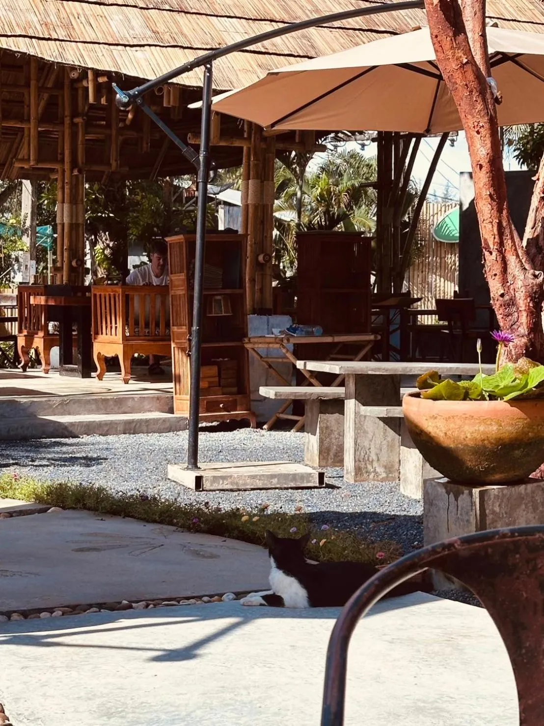 Garden in Cicada Lanta