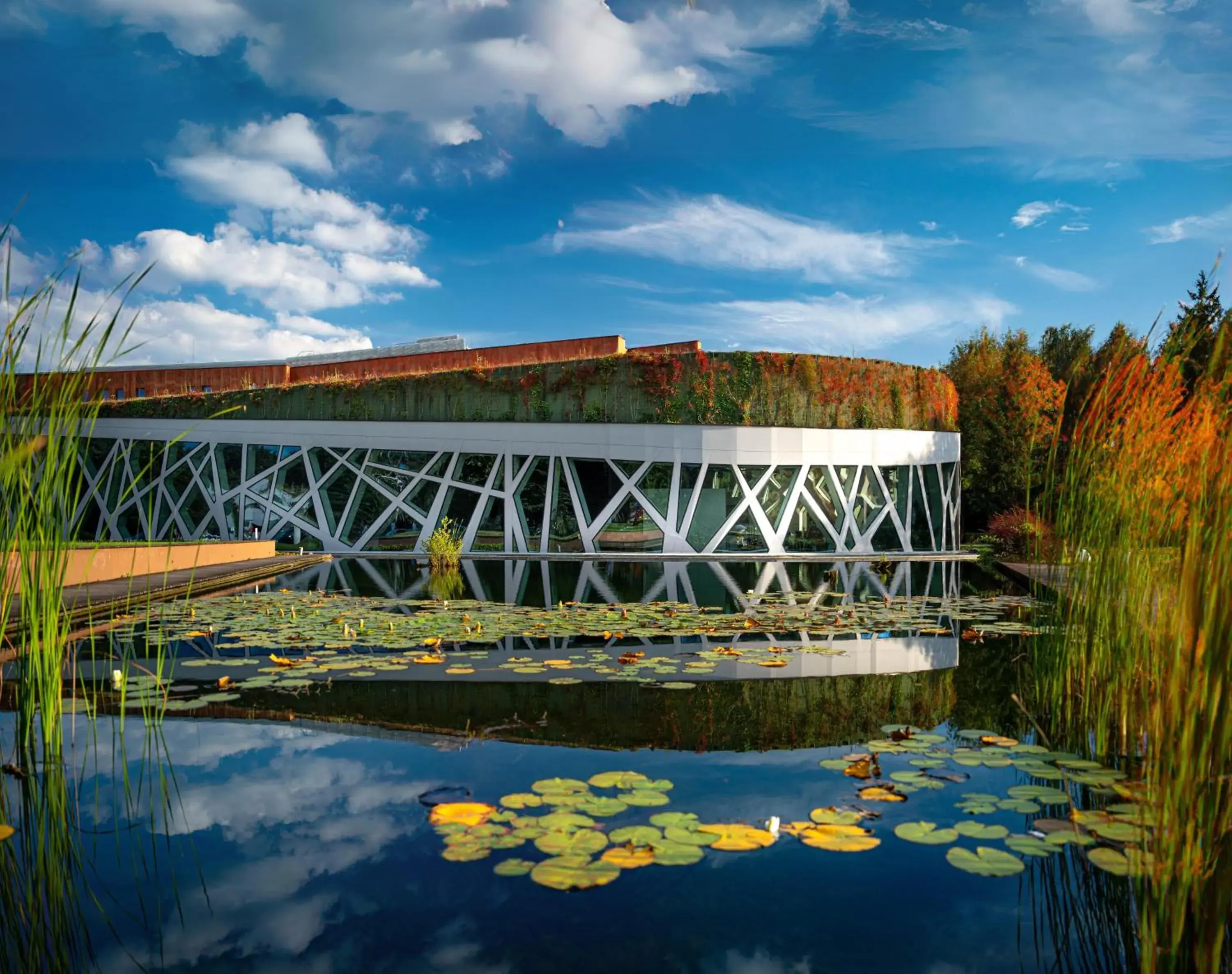 Hotel Narvil Conference & Spa Hotel Narvil Conference & Spa