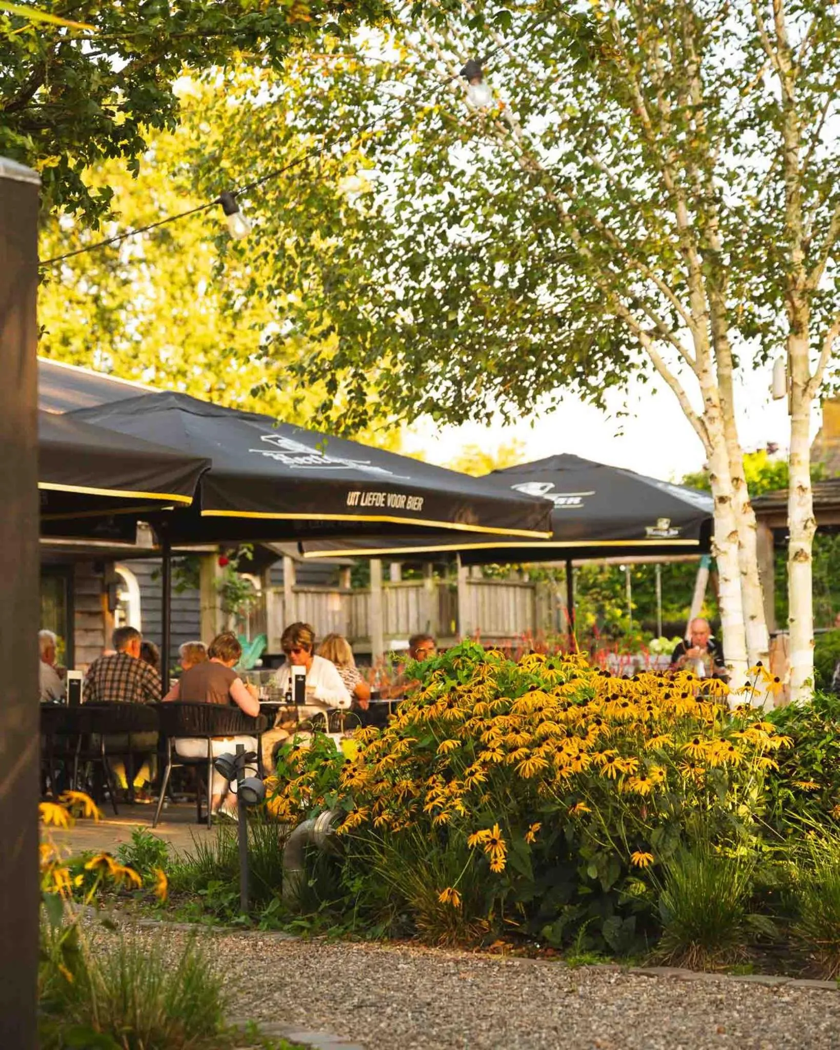 Hotel Restaurant D'n Dries