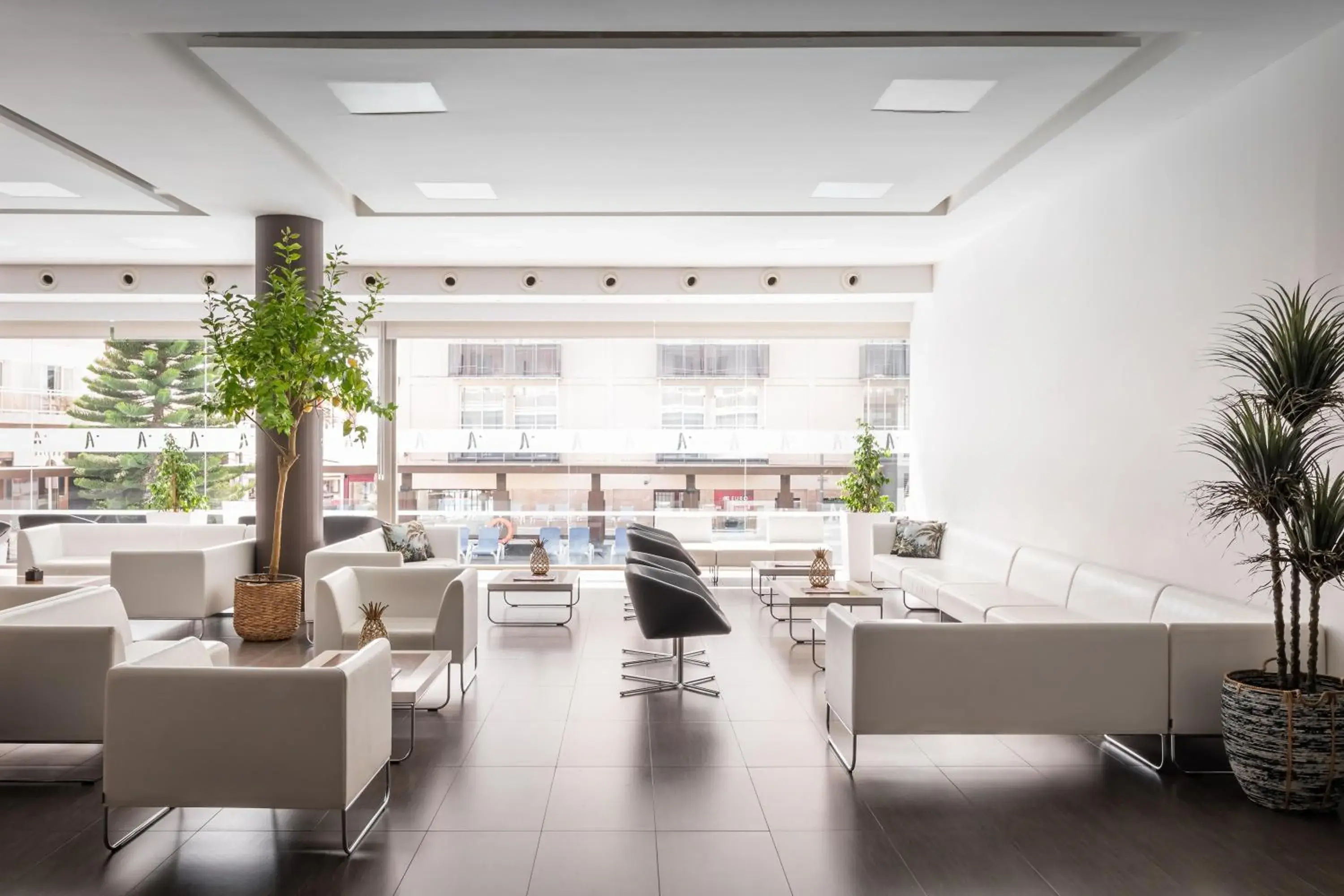 Lobby or reception in ALEGRIA Mariner Adults Only Lobby or reception in ALEGRIA Mariner Adults Only