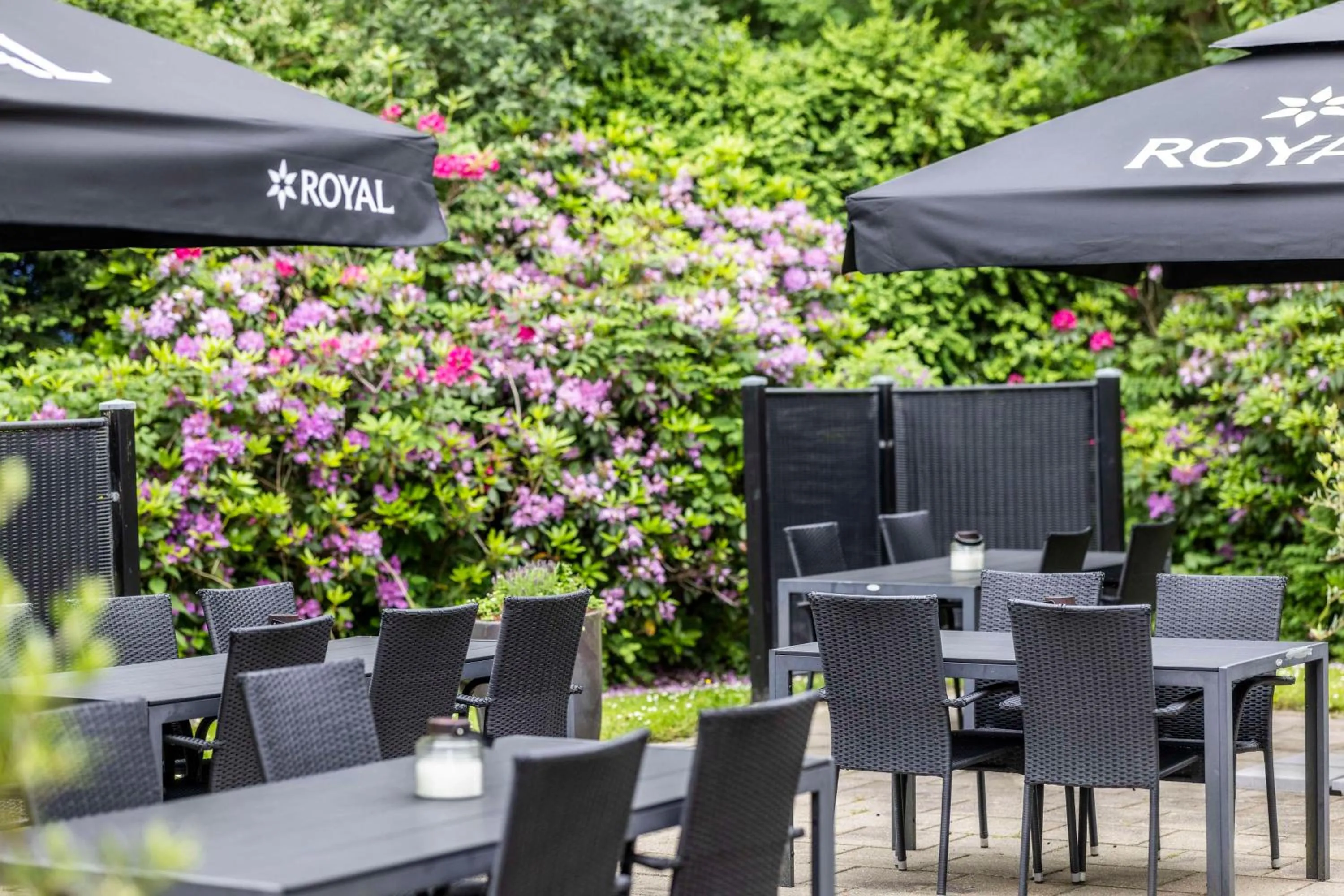 Property building in Scandic Kolding