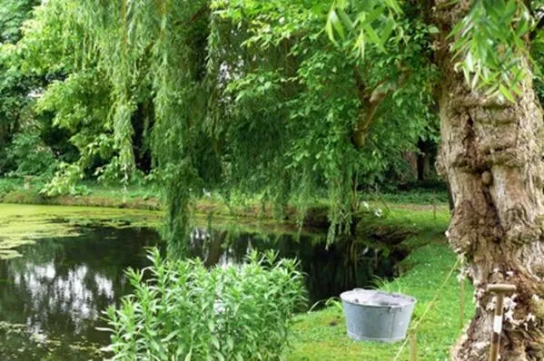 Garden in Manoir de la Peylouse