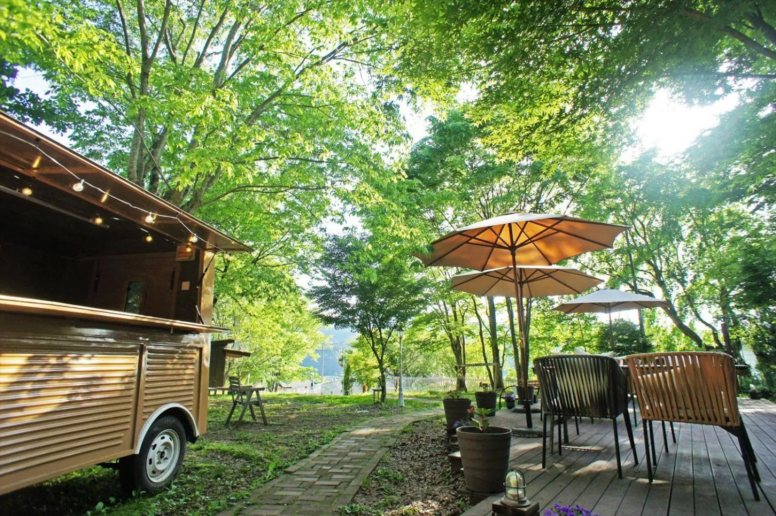 Garden view in Saku Cafe