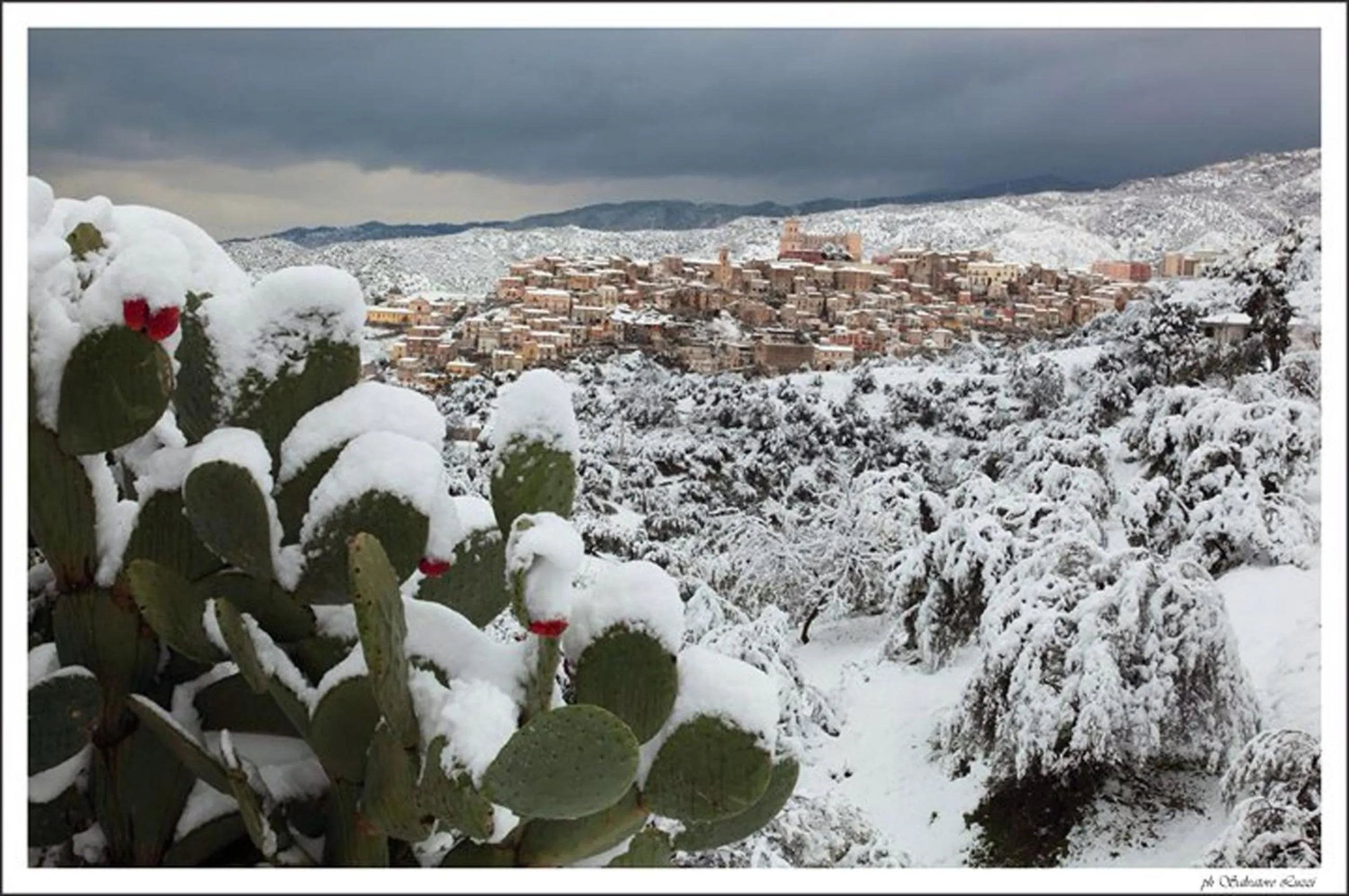 Area and facilities in Il Falco e Il Gabbiano