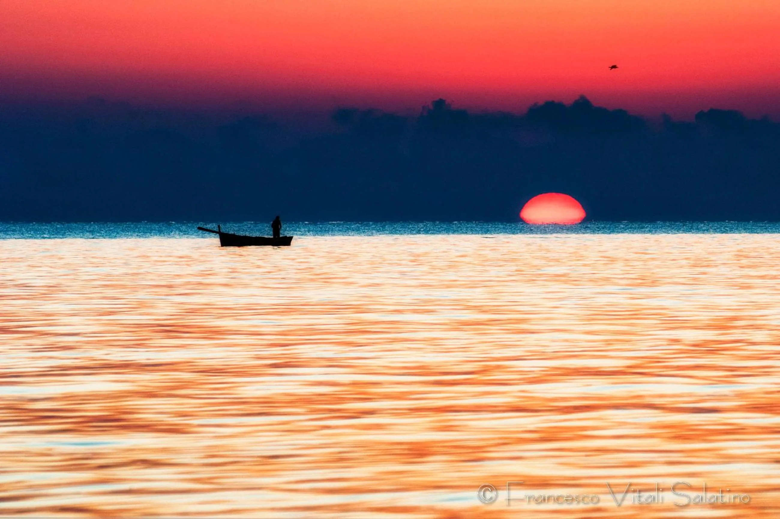 Beach in Il Falco e Il Gabbiano