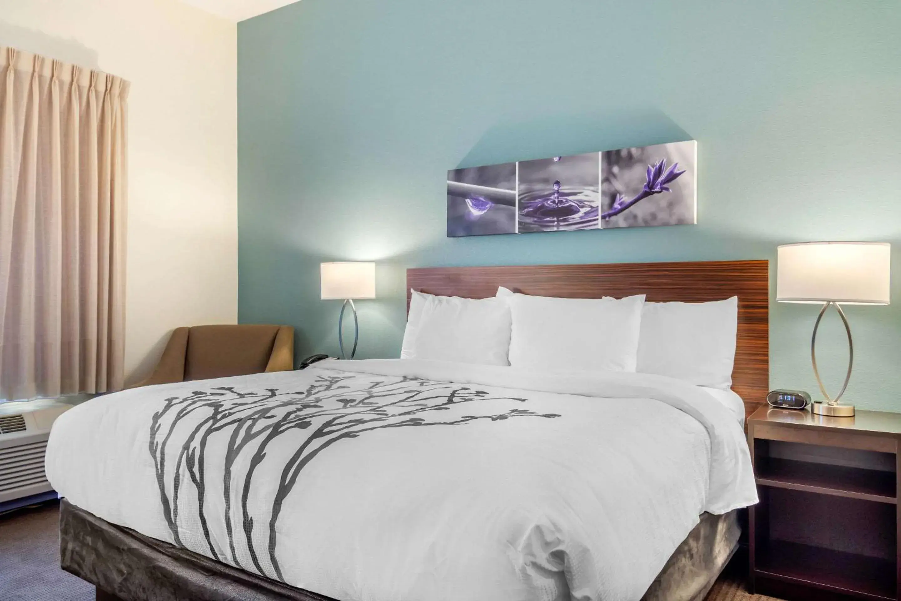 King Room with tub - Accessible/Non-Smoking in Sleep Inn Newnan Atlanta South King Room with tub - Accessible/Non-Smoking in Sleep Inn Newnan Atlanta South