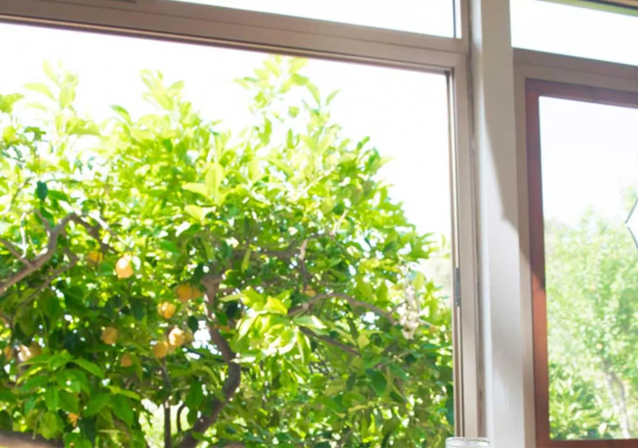 B&B Profumi di Sicilia