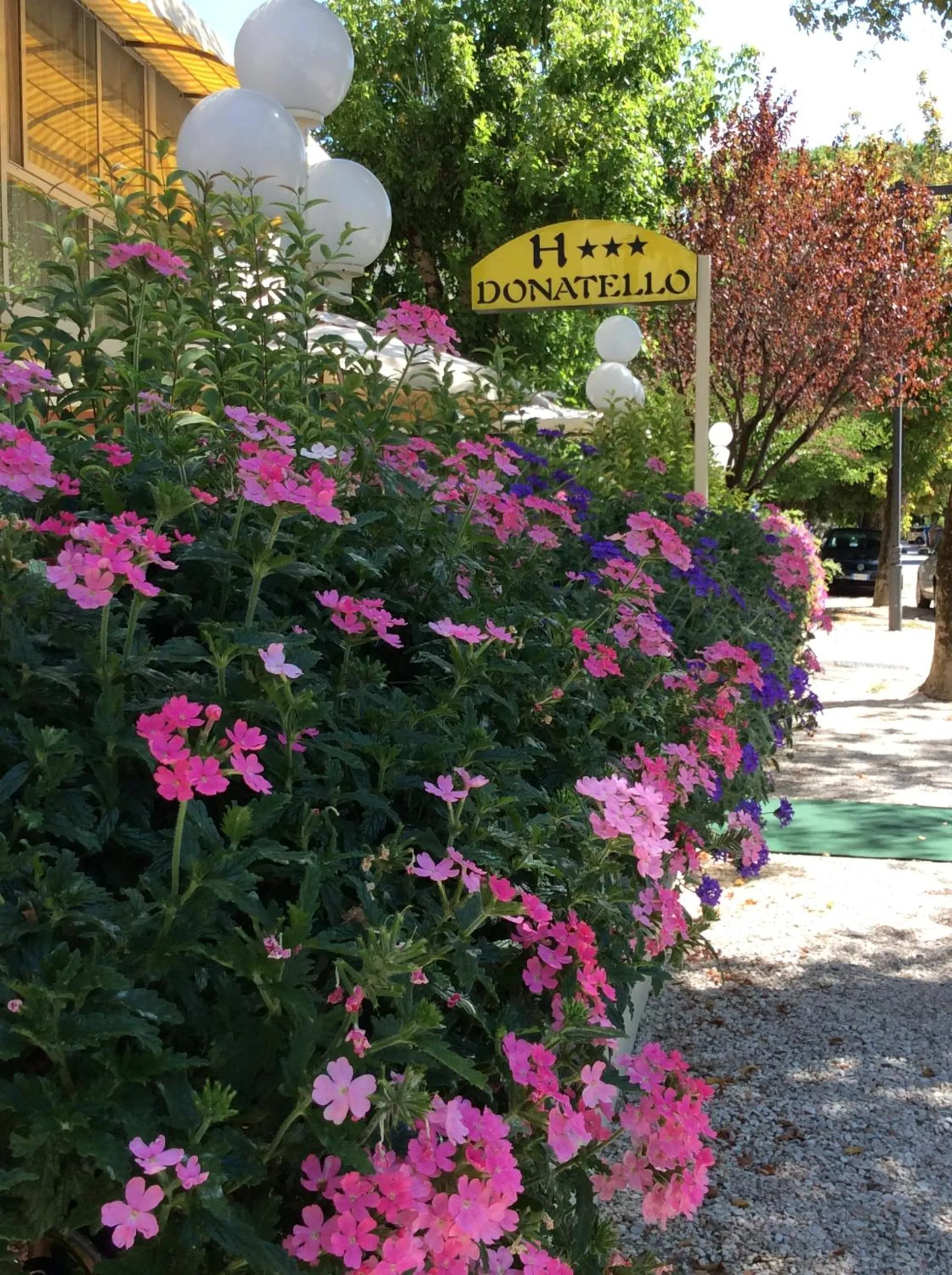 Property building in Hotel Donatello