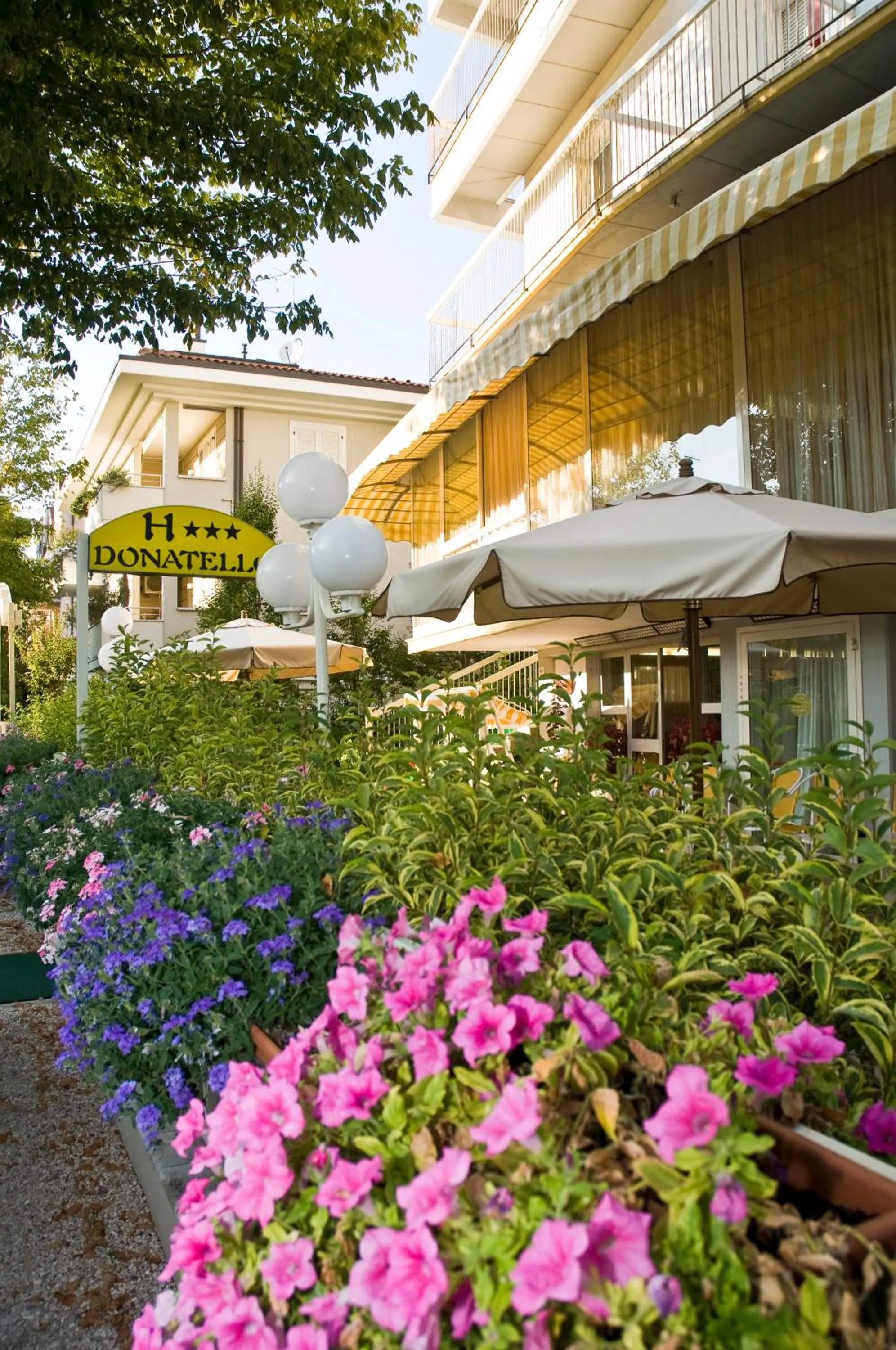 Garden in Hotel Donatello