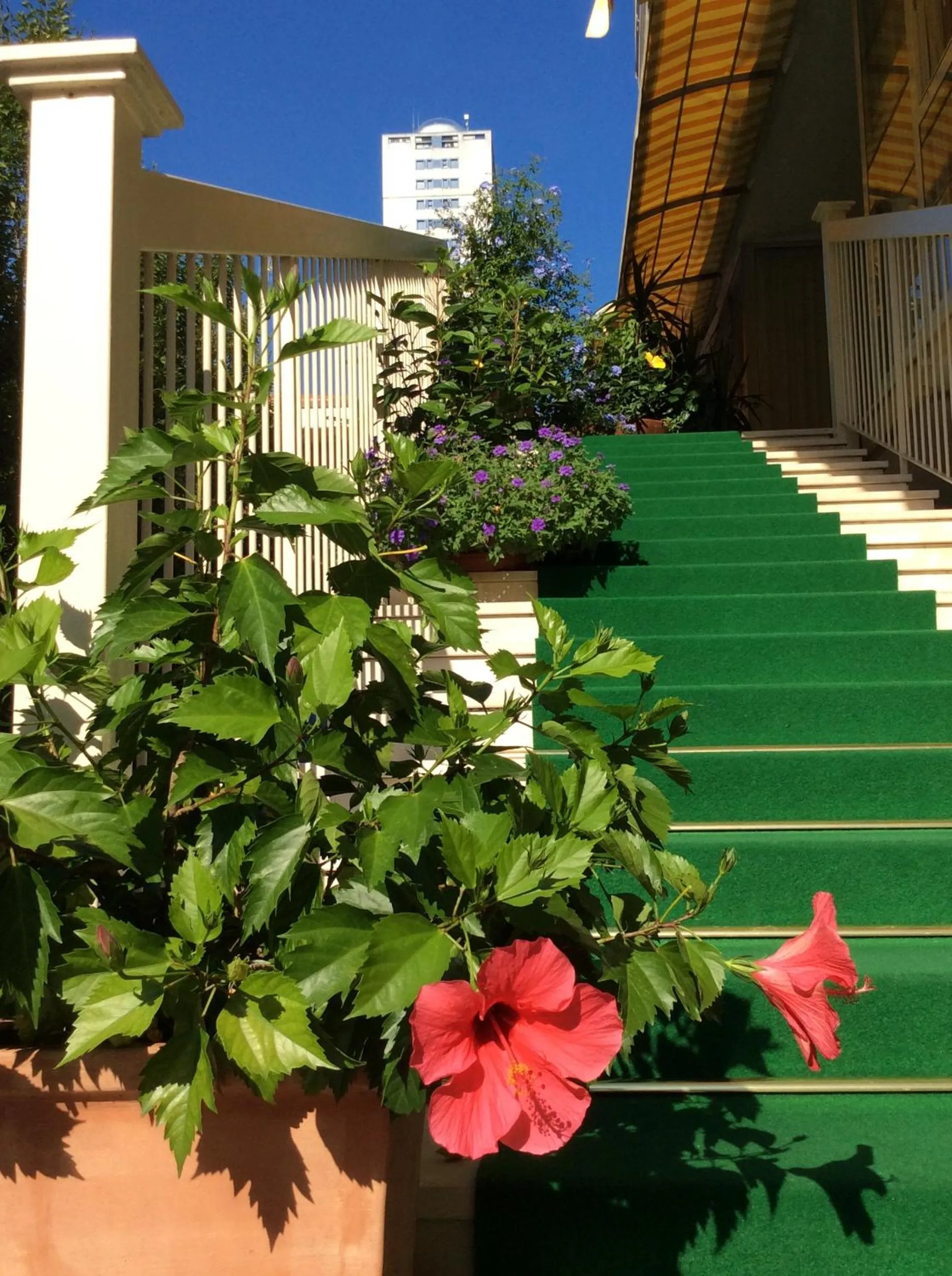 Garden view in Hotel Donatello