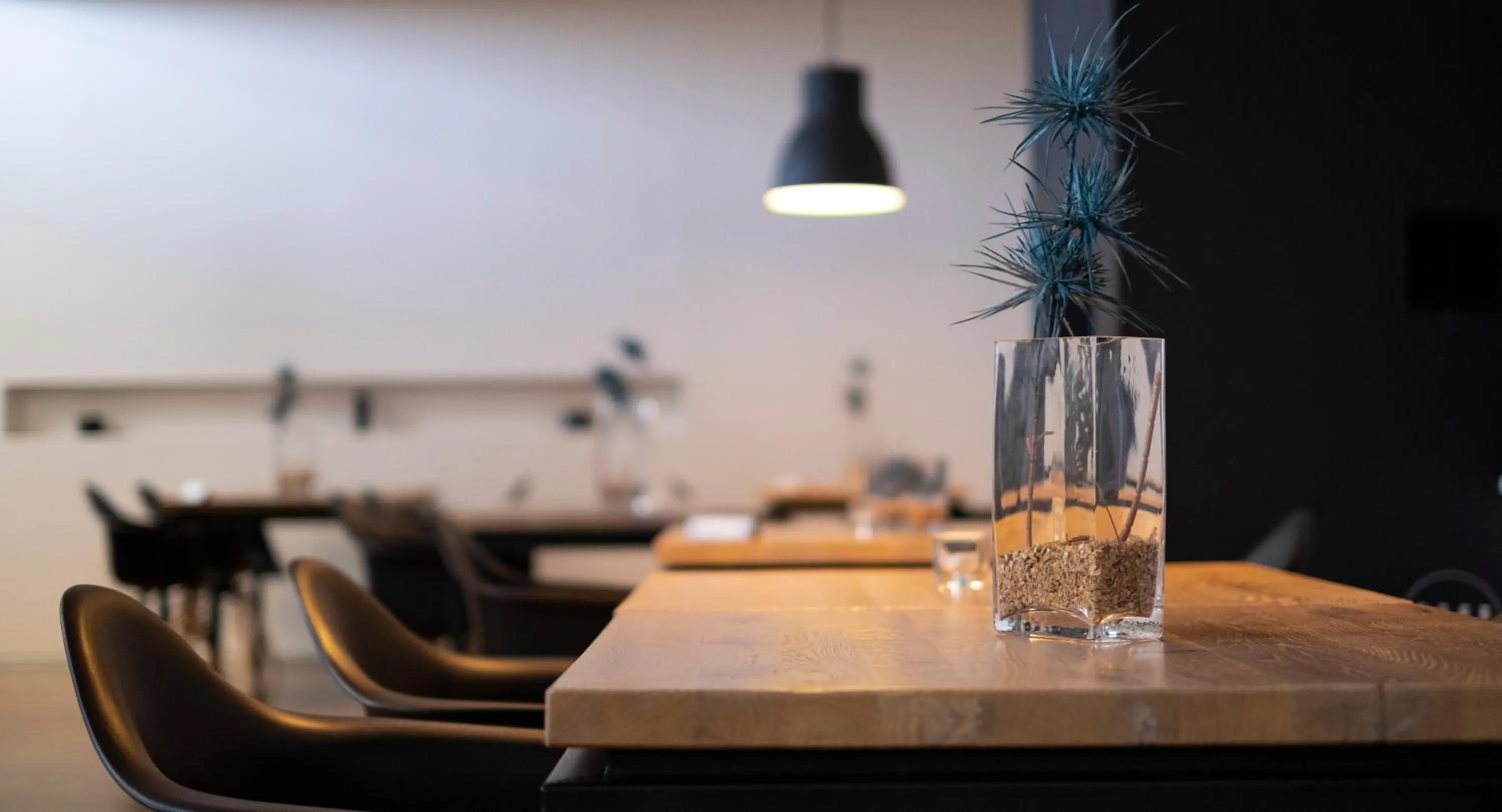 Restaurant/places to eat in Hotel Villa Annette