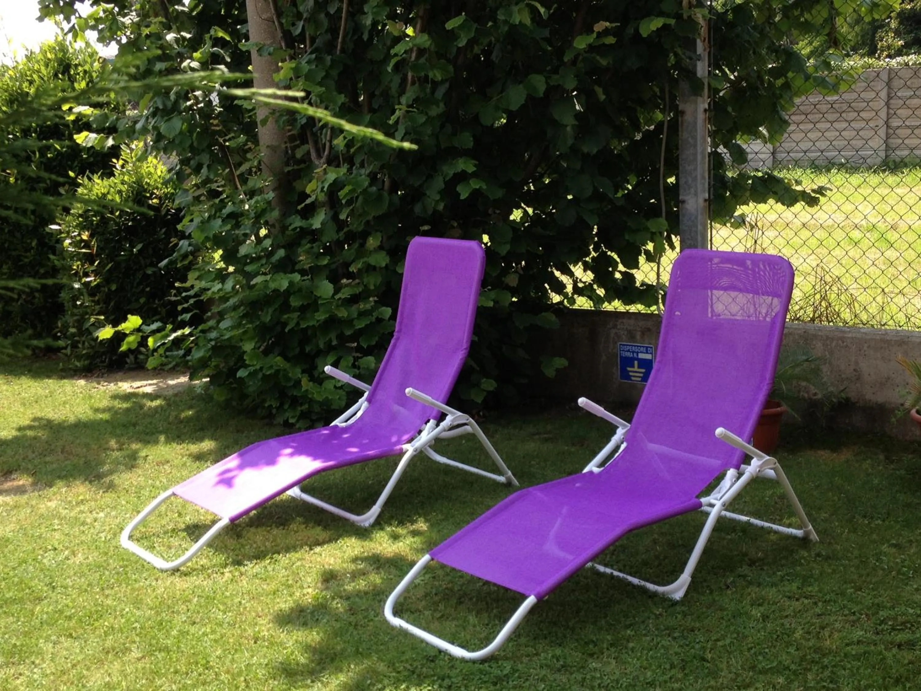 Garden in Hotel Angi