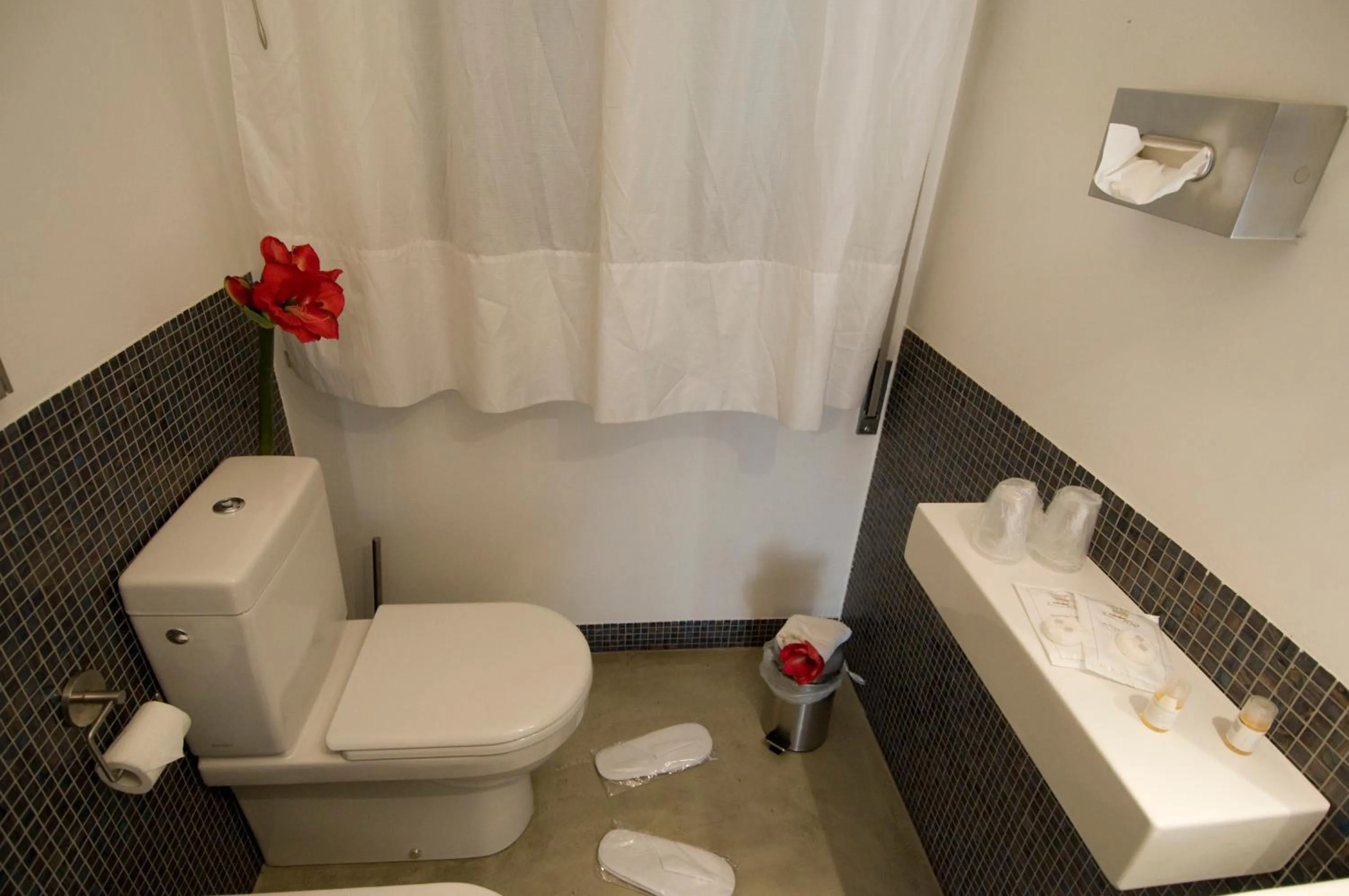 Shower in Hotel Angi