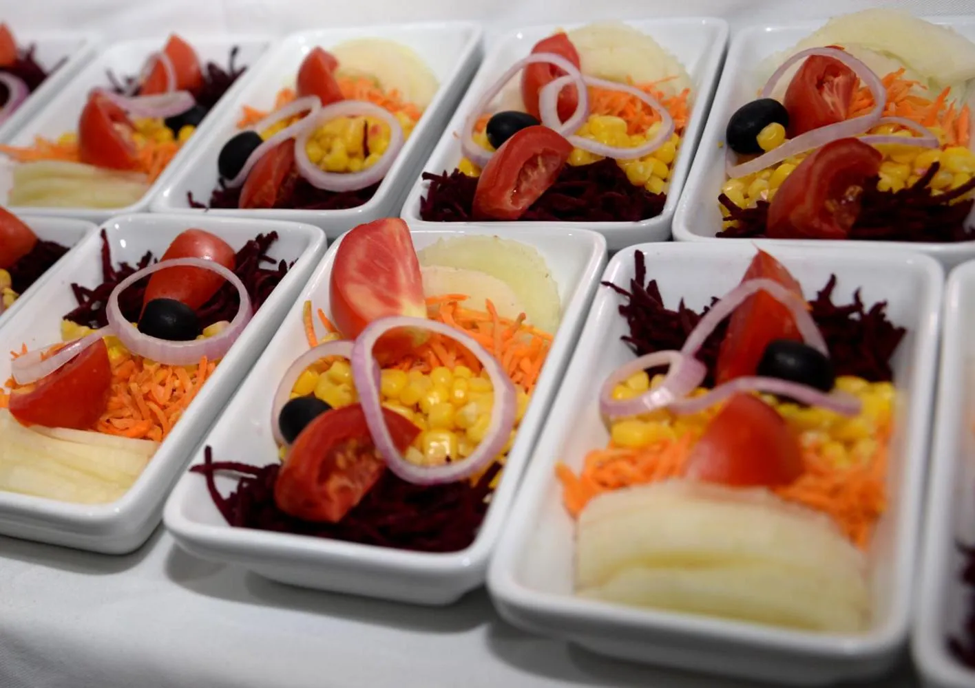 HOTEL AMBASSADORS ANNEXE