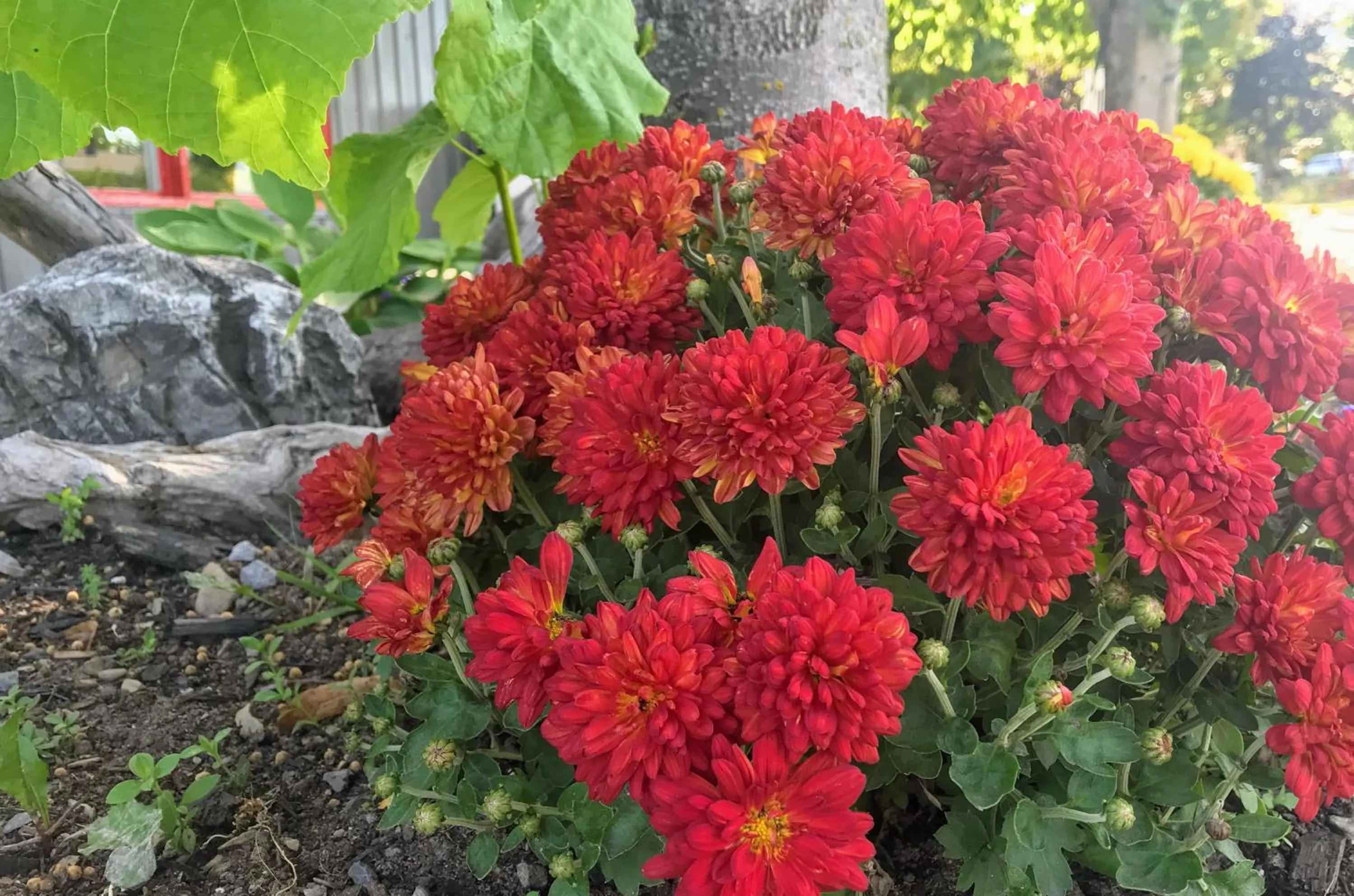 Property building in Motel de L'Anse et Camping Rimouski