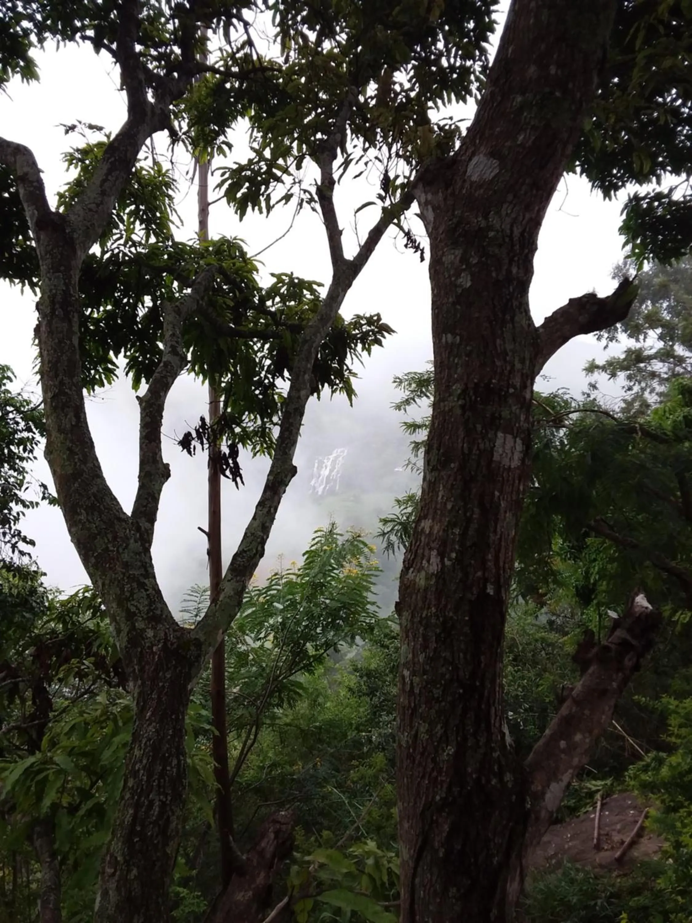 Natural landscape in Glorious Nature Inn